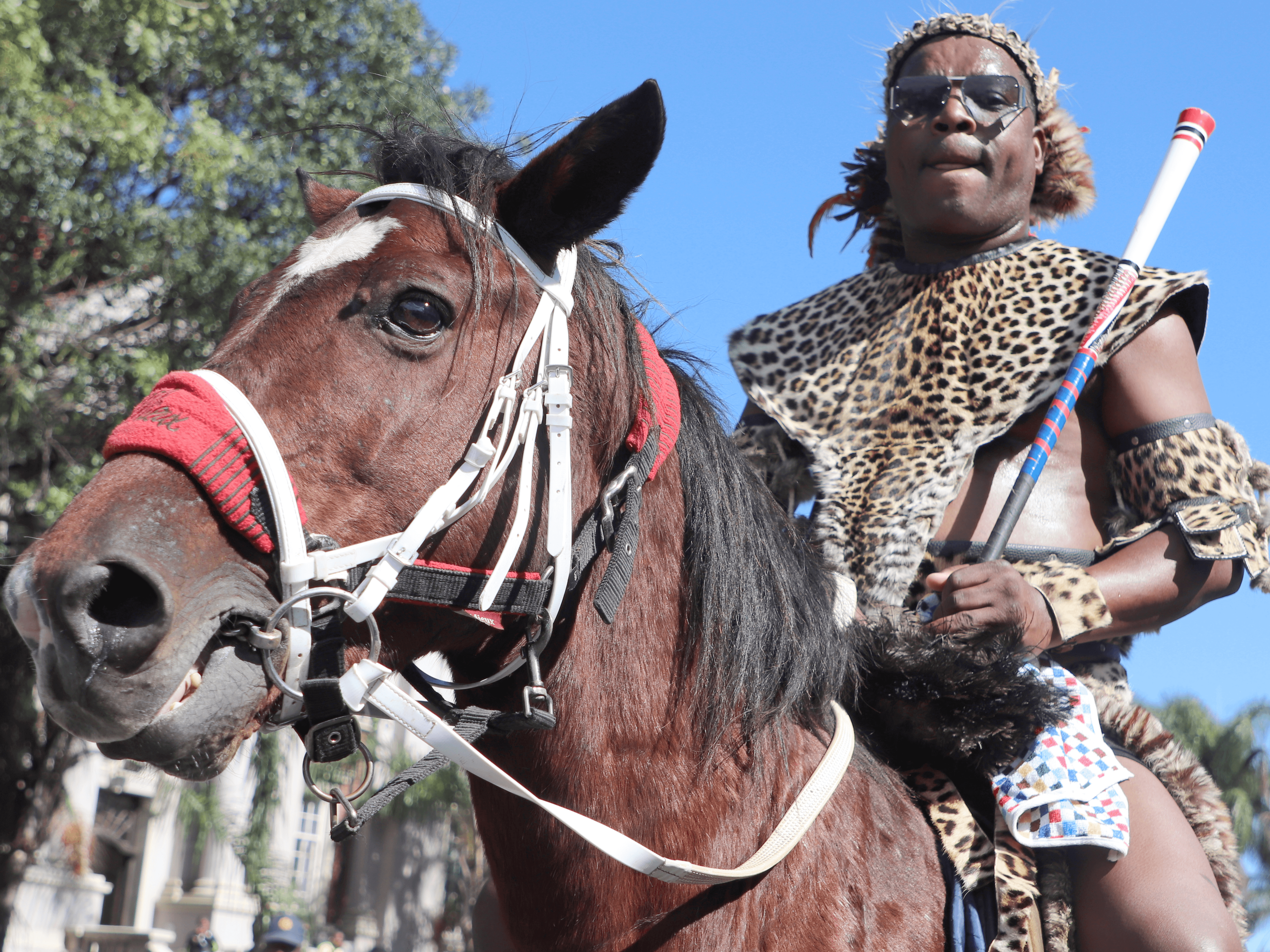 14. Utheleke egibele ihhashi uNgizwe Mchunu kwiMarch and March