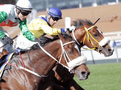 25. Amahhashi - Turffontein - 09 May 2026
