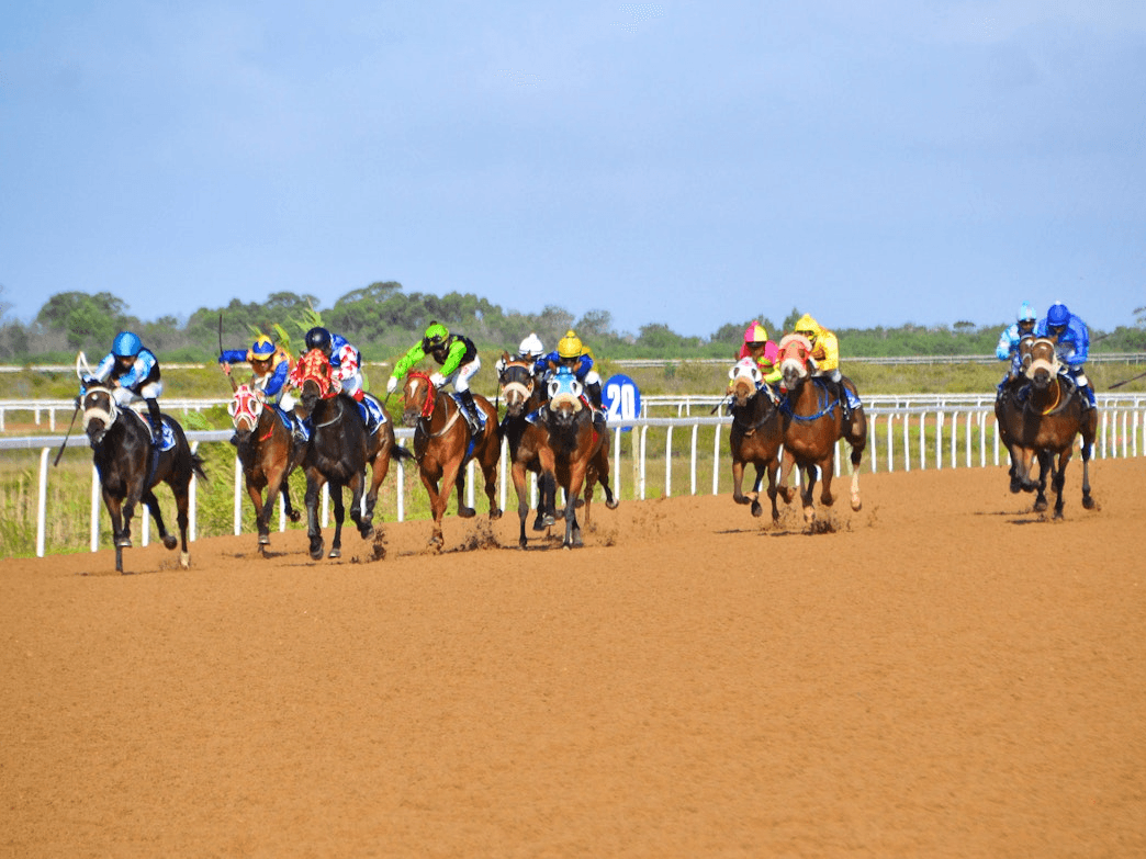 16. Amahhashi - imijaho yaseFairview ngoLwesihlanu