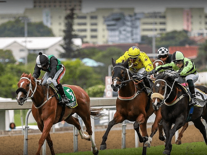 17. Amahhashi - Greyville 05-07-25