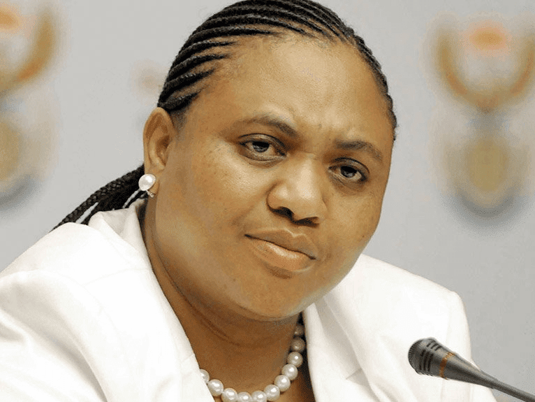 02. Sezabiwe izihlalo zekomiti elizophenya uRamaphosa