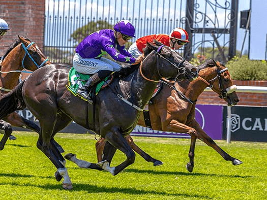 16. Racing-amahhashi