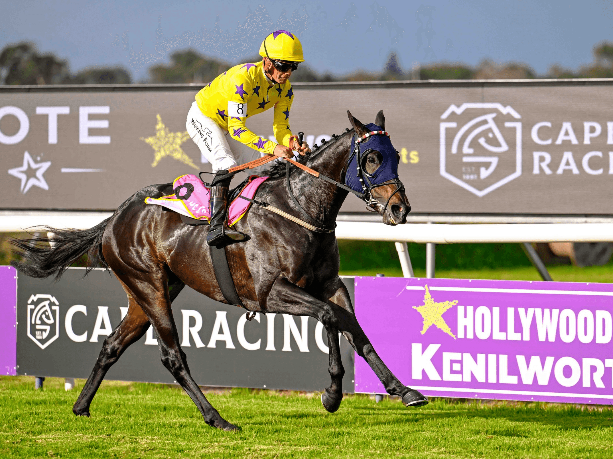 16.1 Amahhashi - Kenilworth 1 Juni