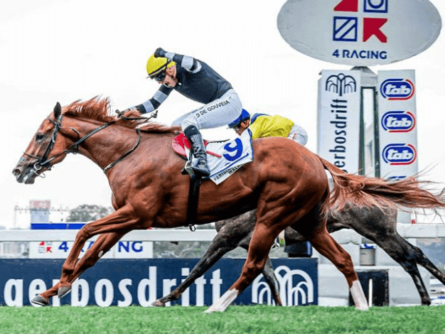 16.3. Amahhashi 08 June Turffontein