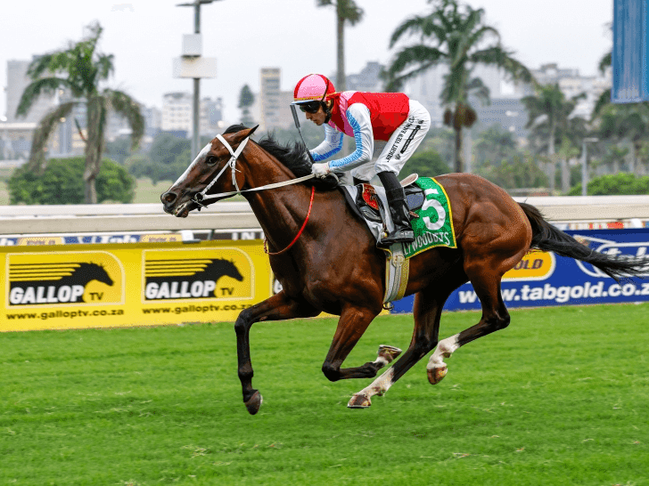 16.4 13 April HWB Scottsville 20250413