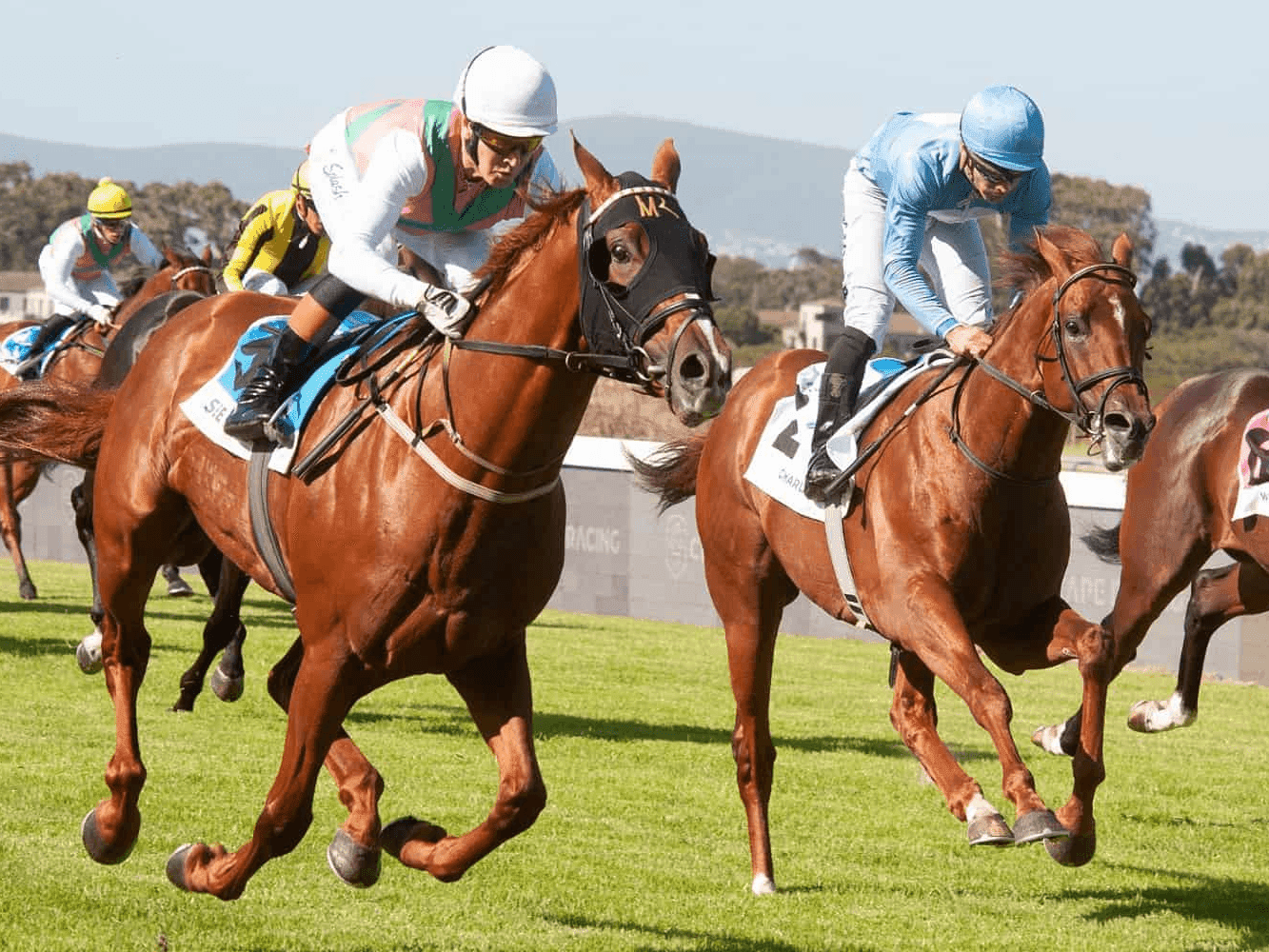 25. Amahhashi - Greyville - 18 January 2026