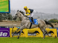 16.2. Amahhashi -Scottsville 31 May