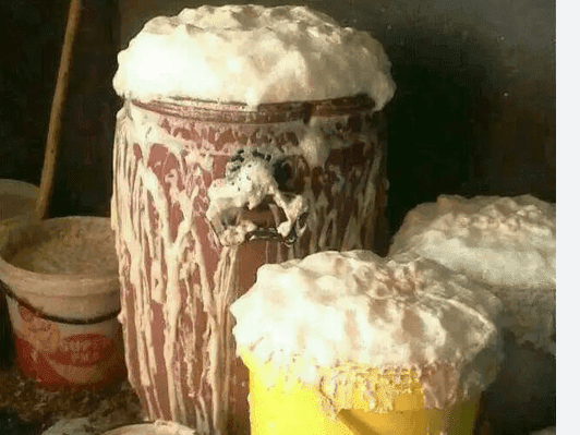 15. Kuningi ukudideka ngokungeniswa kwabantu abadala ekhaya