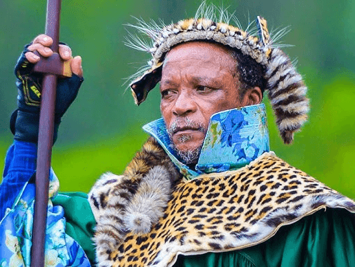 05. Zizobanga isibusiso soNyazi izinkunzi zaseSoweto