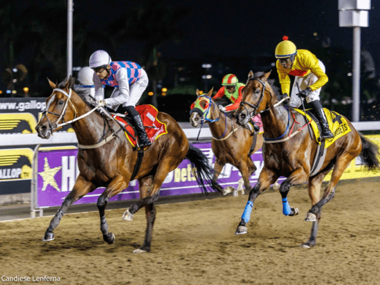 16.3 Hollywoodbets 23March2025