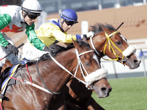 25. Amahhashi - Kenilworth - 28 February 2027