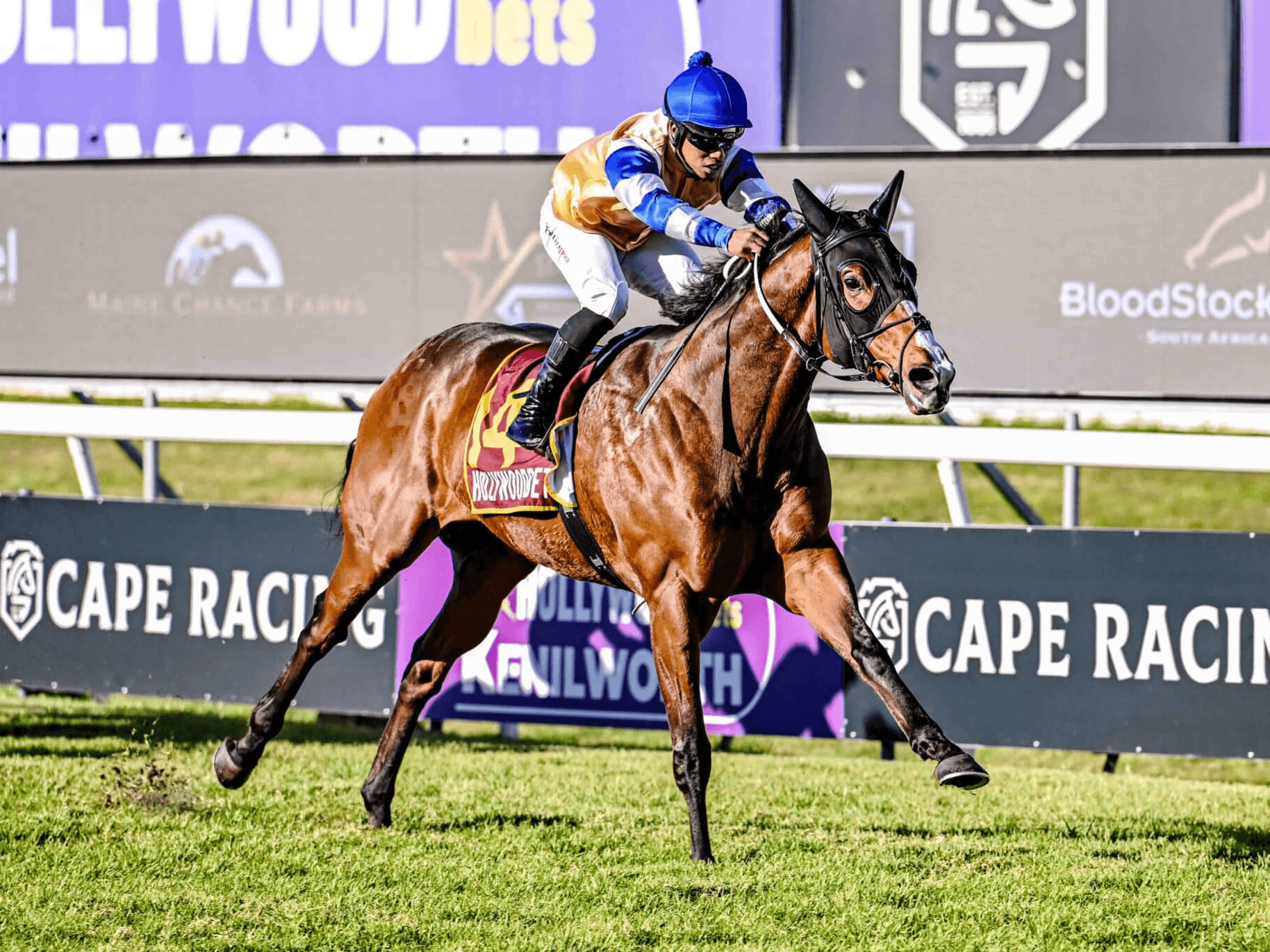 16. Amahhashi - Fairview 30 May