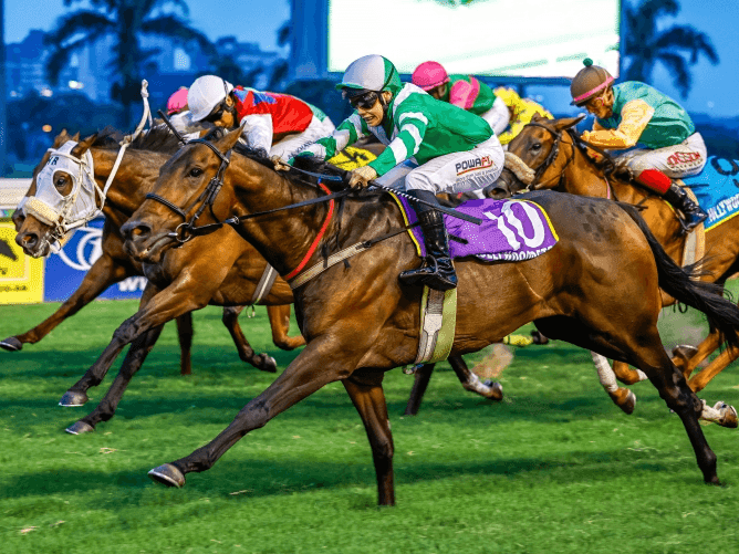 16.1 Fairview 9 May 2025