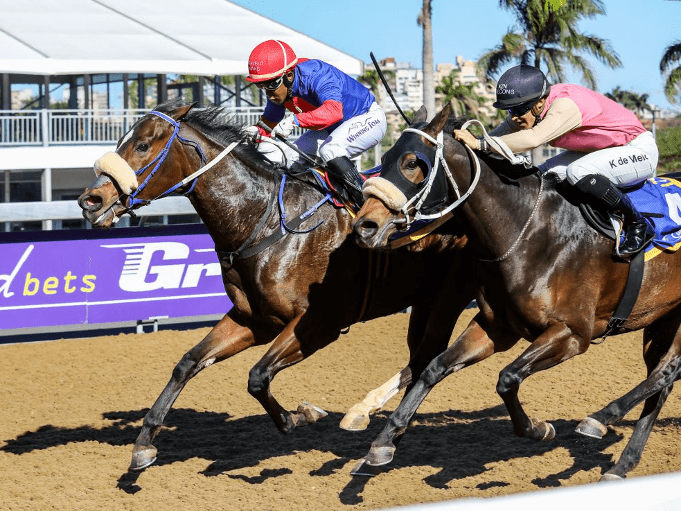 16.1. Amahhashi - 17 May Turffontein 