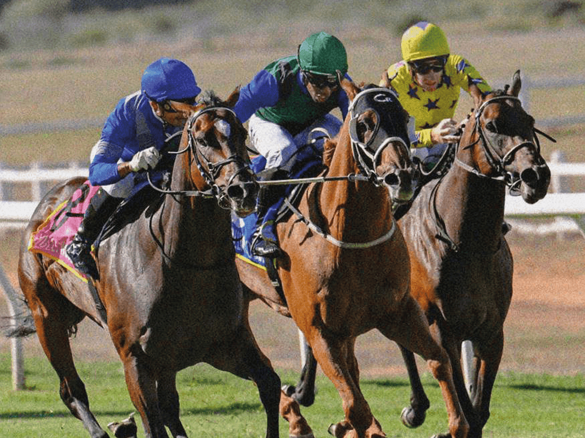 25. Amahhashi - Kenilworth ngoMgqibelo 28 March