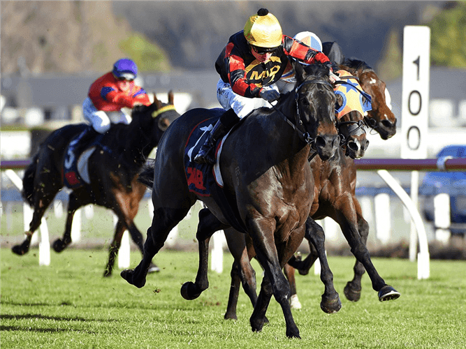 23. Amahhashi - Fairview - 19 December 2025