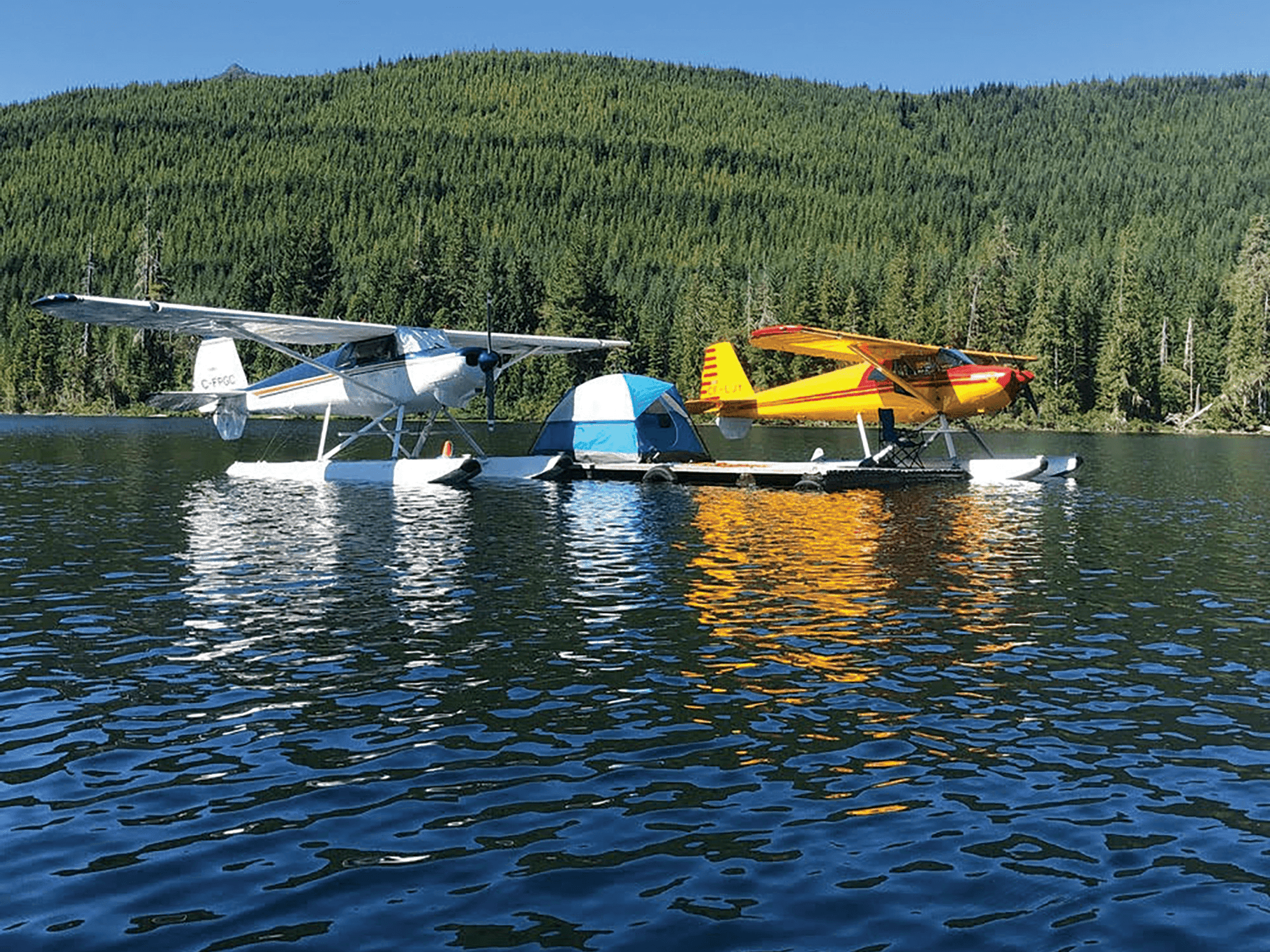 Pandemic with Pizzazz