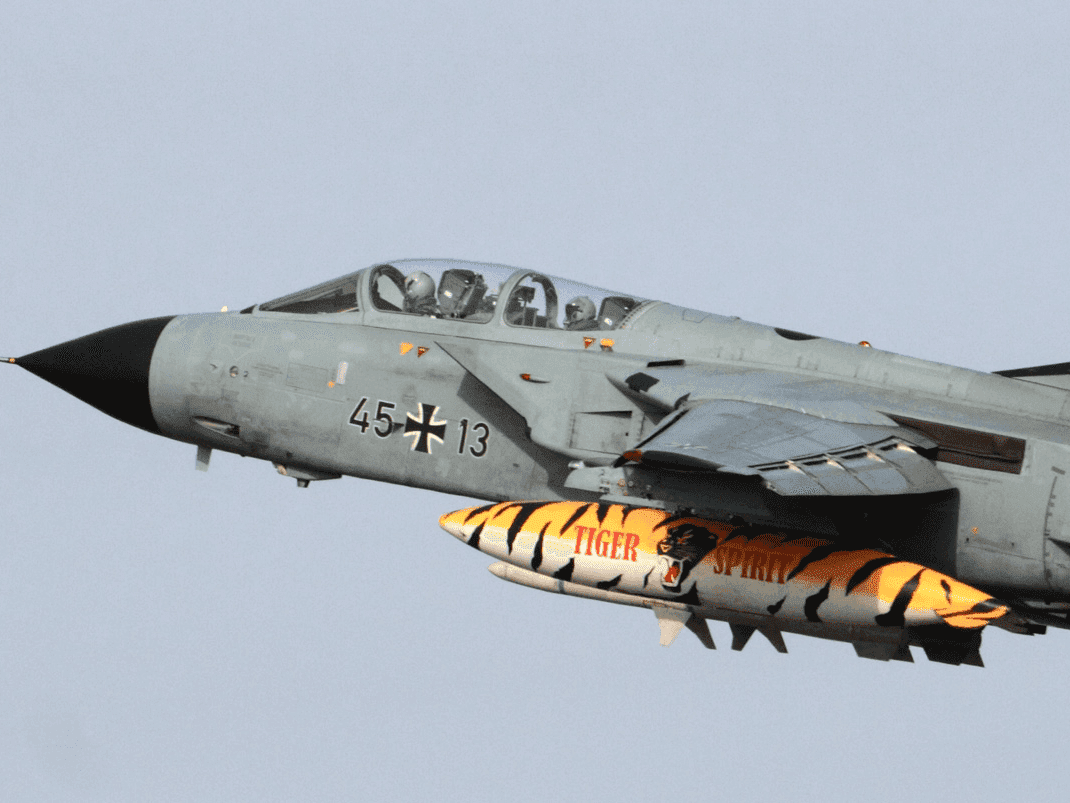 Tiger Meet Turns 60!