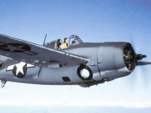 Grumman’s Fabulous Felines