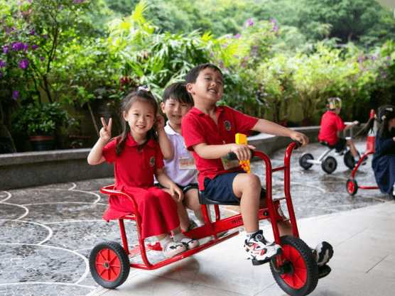 Primary School Highlights