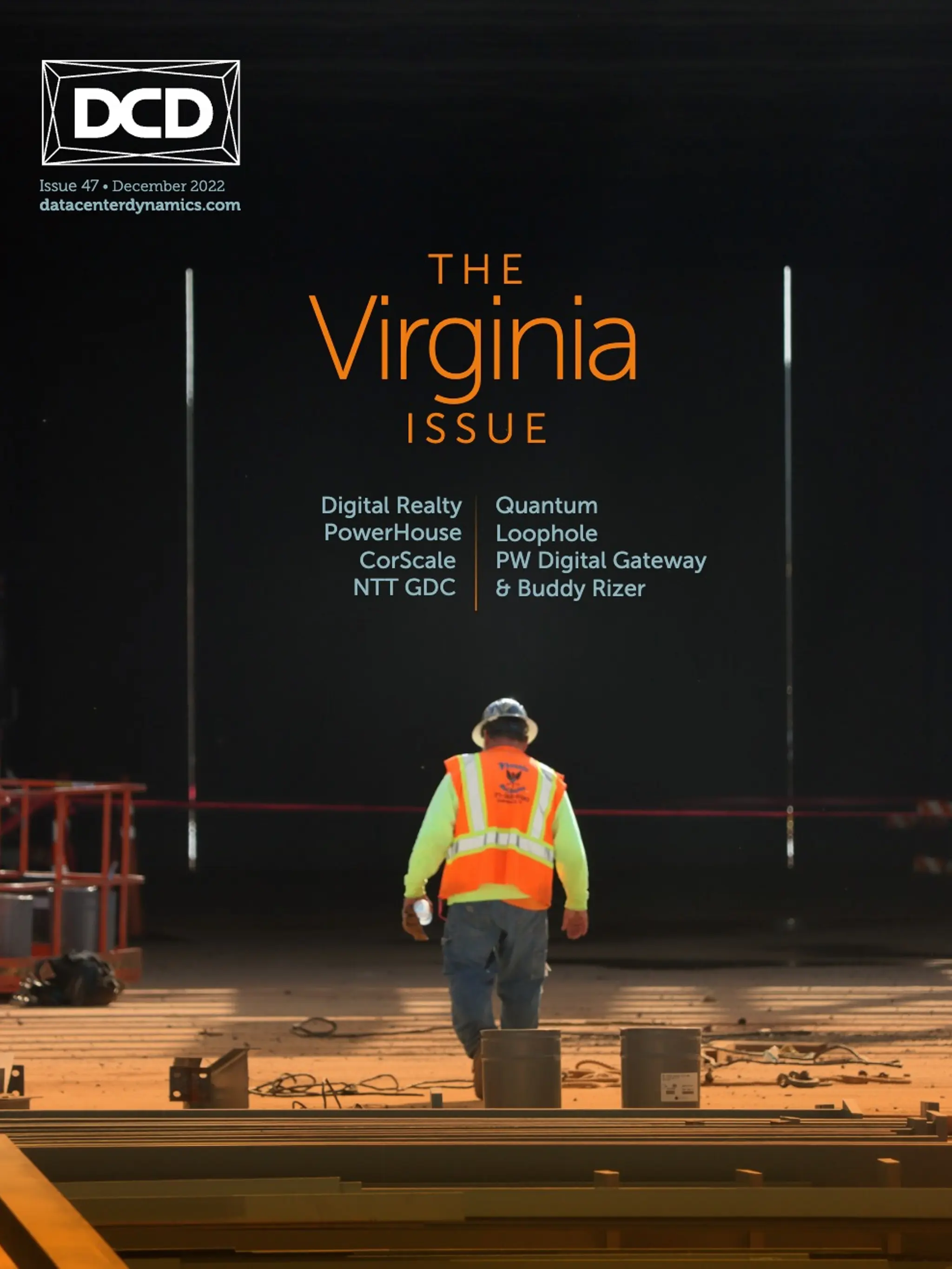 THE Virginia ISSUE - Basic Sample Conversion