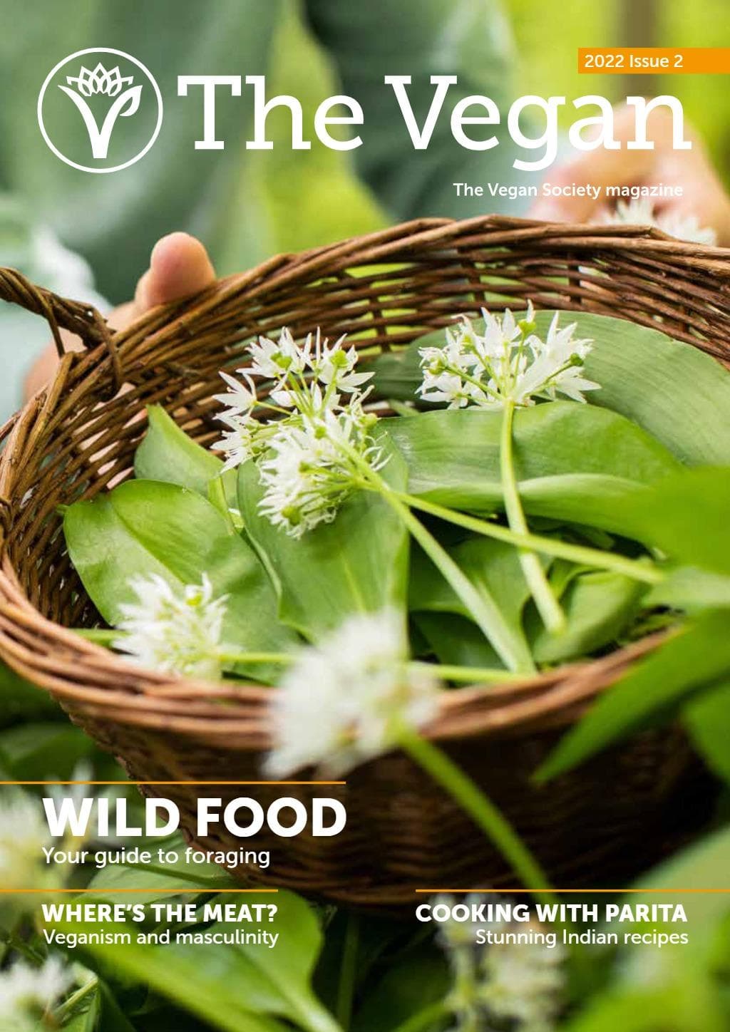 The Vegan Professional Conversion