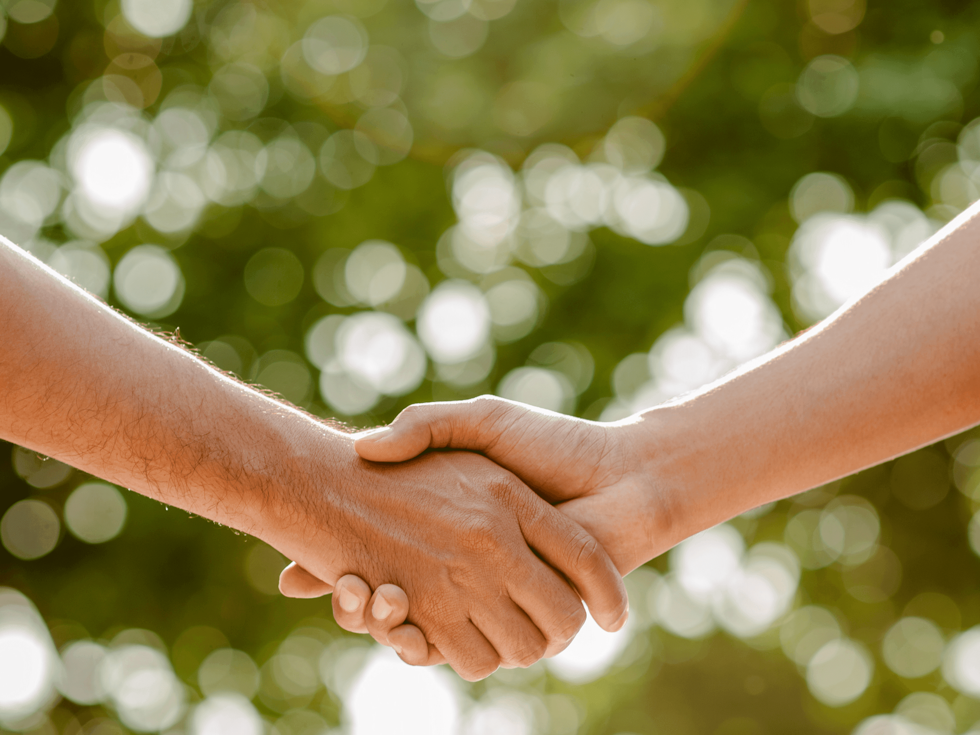 Meet your new Board of Trustees