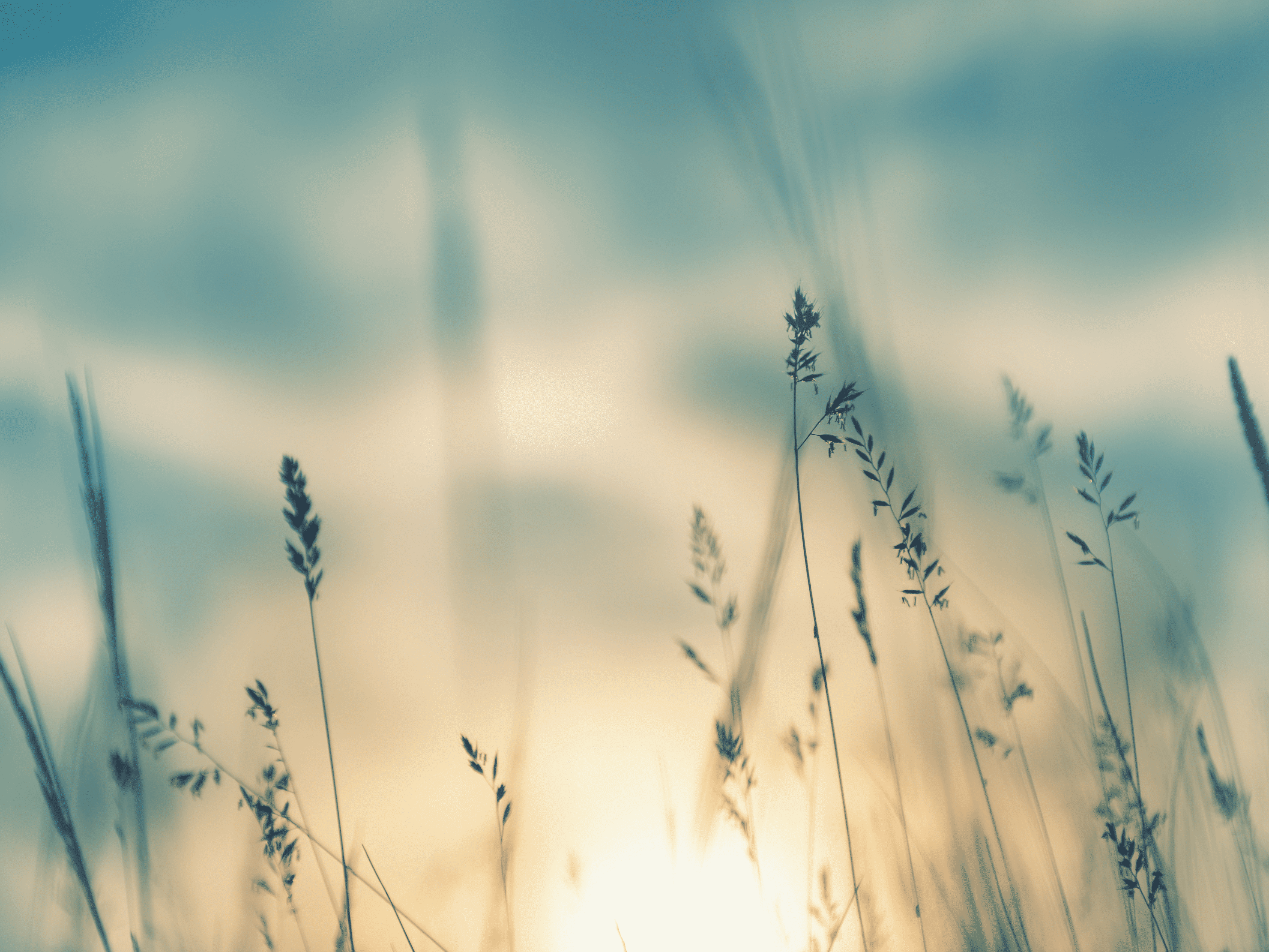 Empowering early years educators