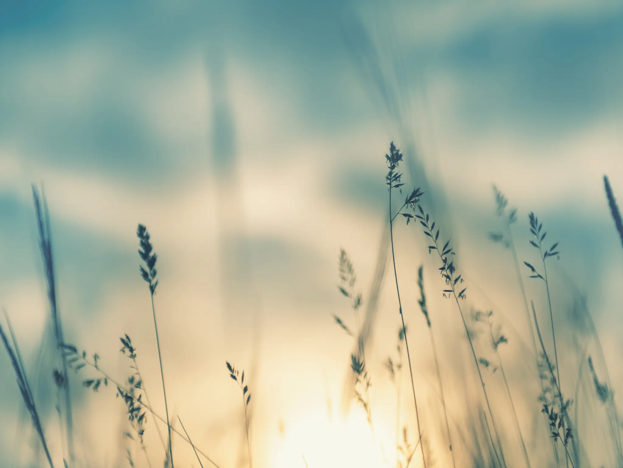 Empowering early years educators