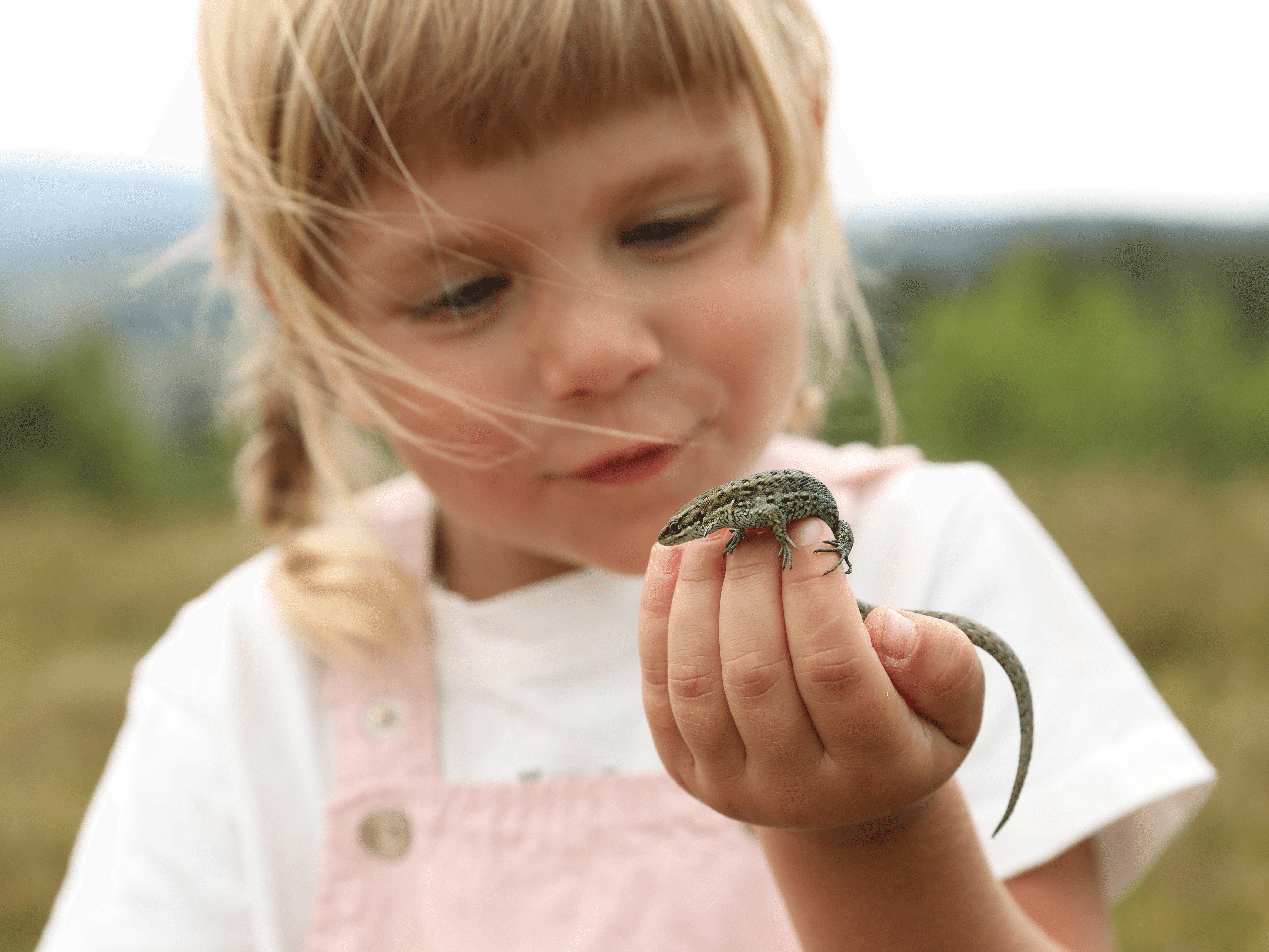 Reptile rapscallions