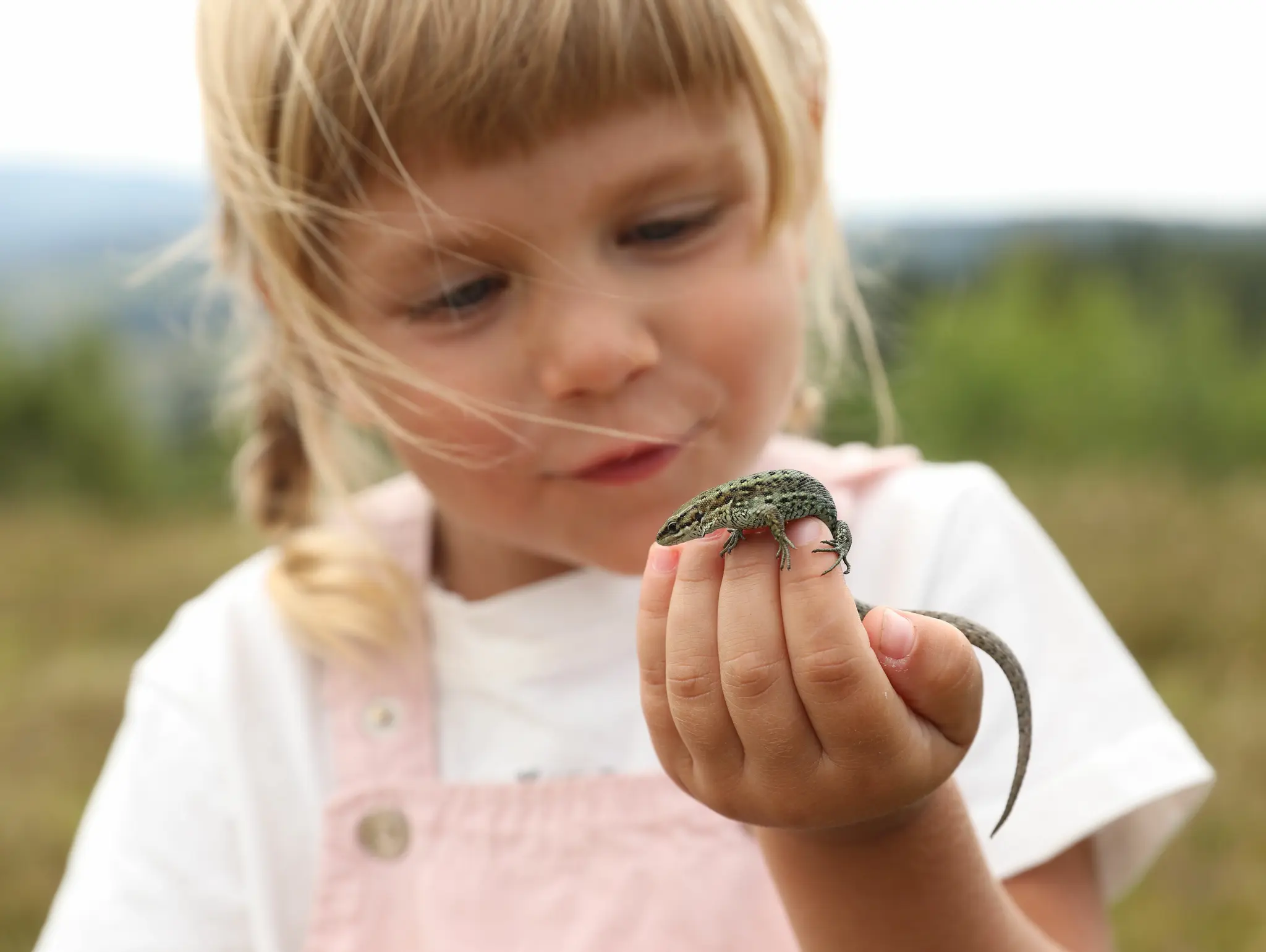 Reptile rapscallions