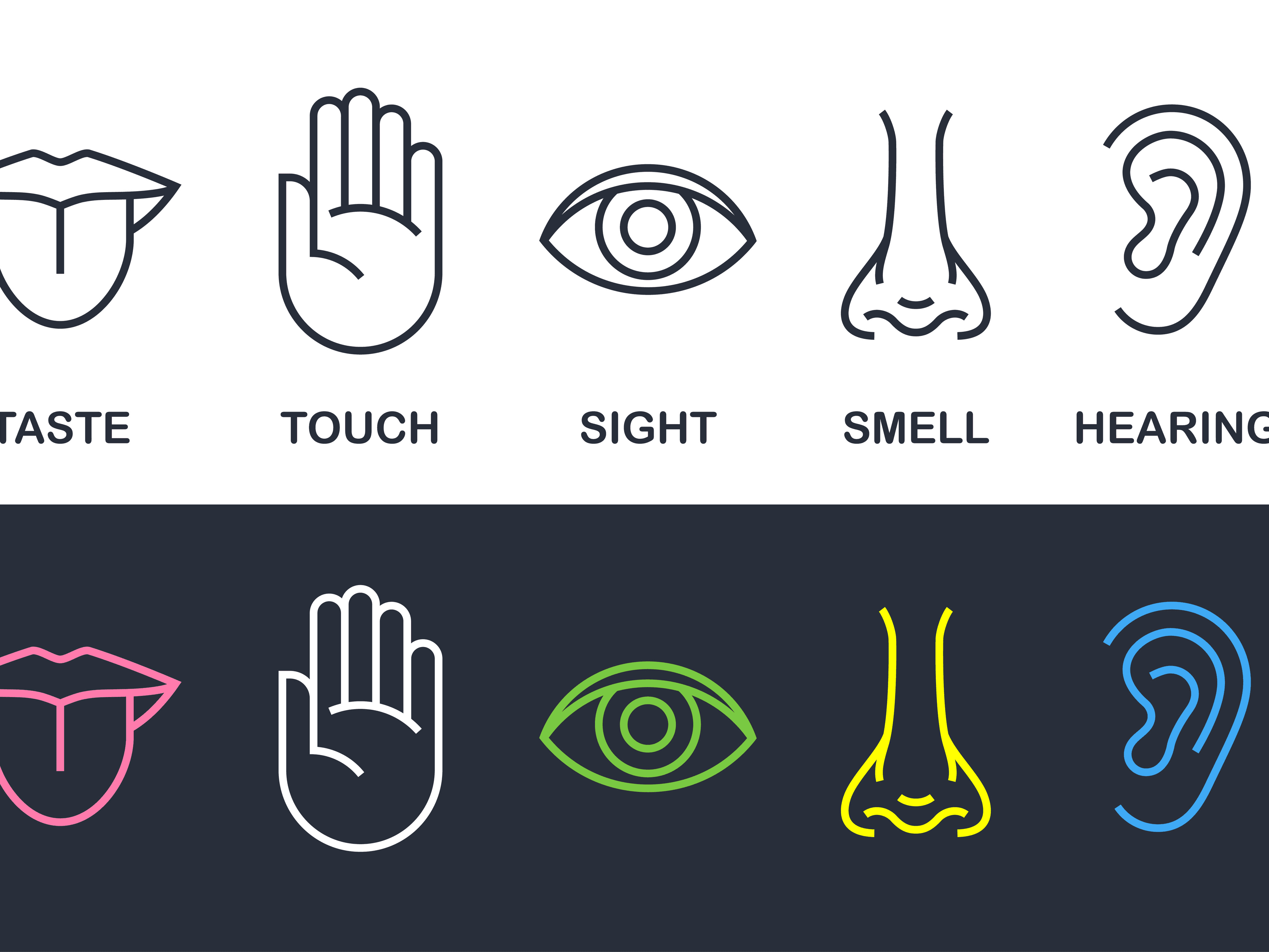 Scouting sensory experiences