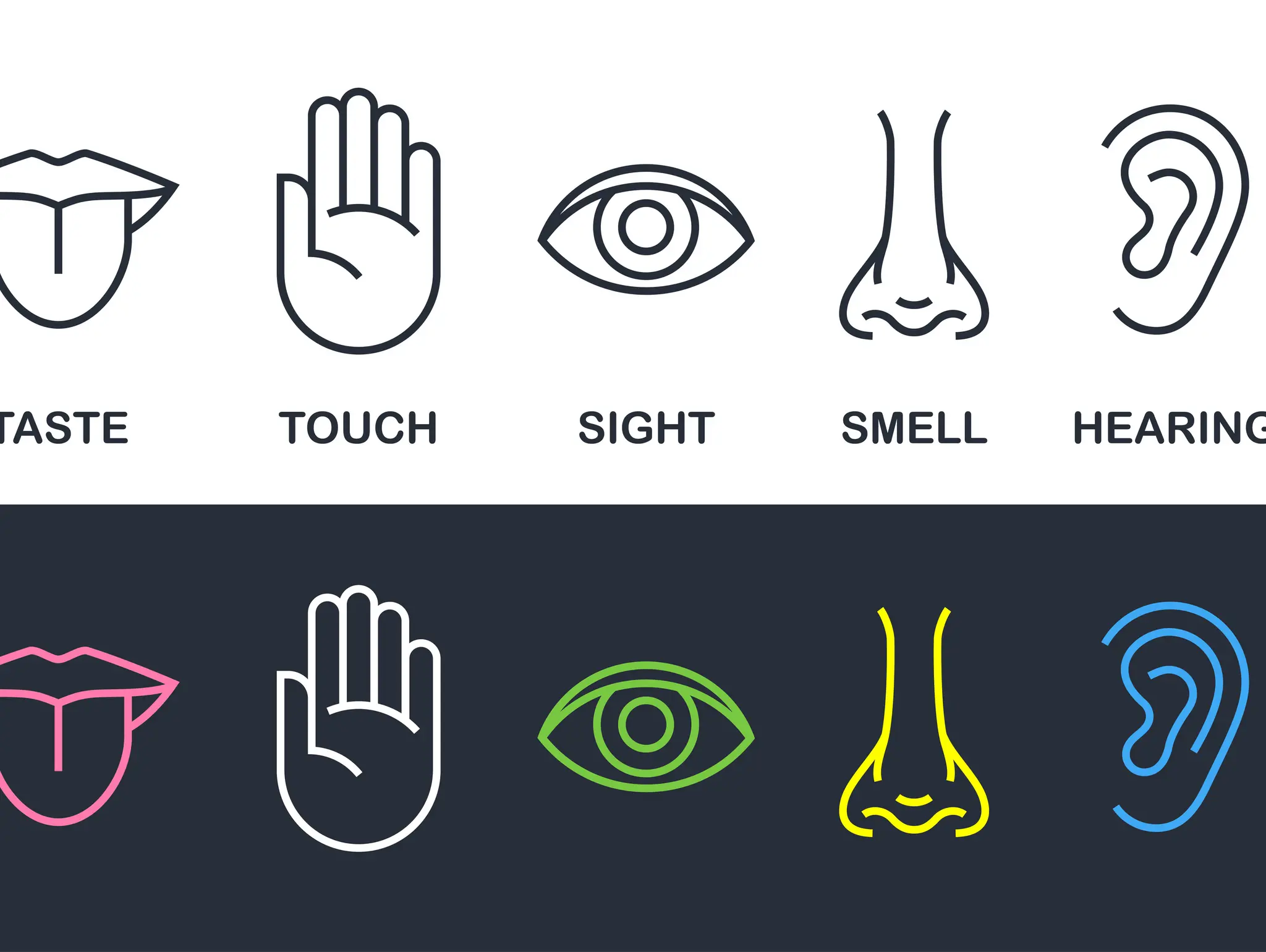 Scouting sensory experiences