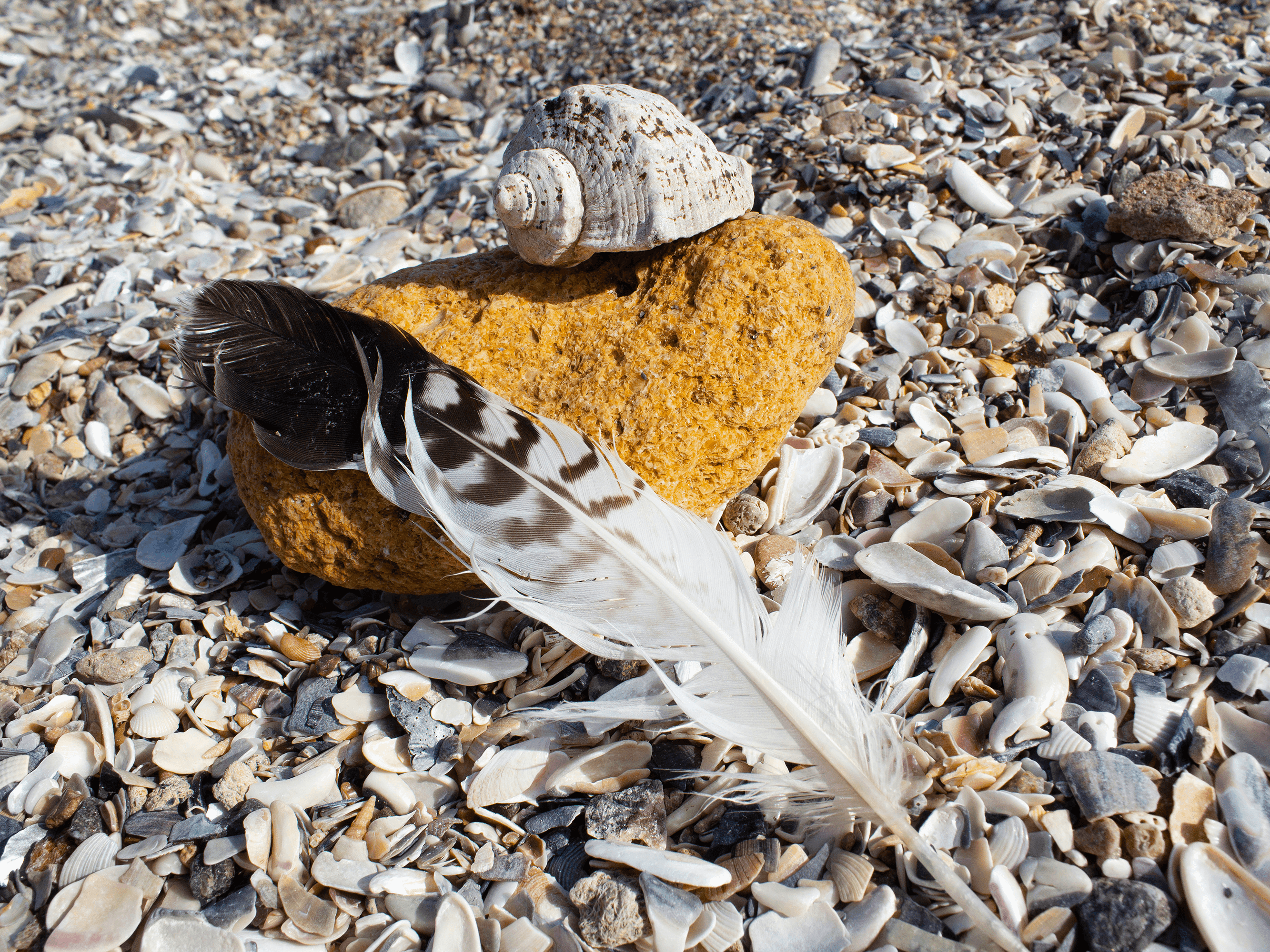 Finding nature’s treasure baskets