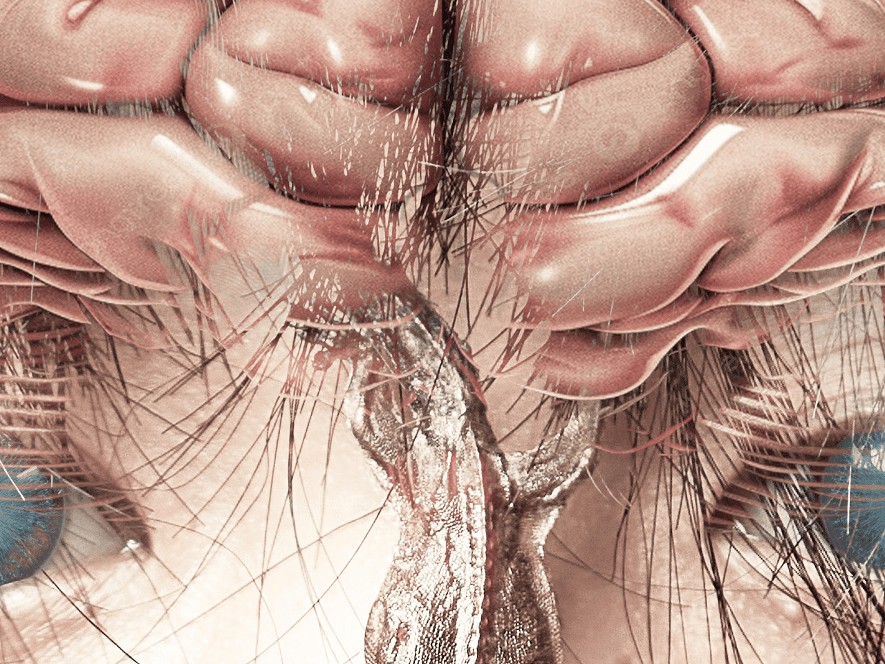 487 วิทย์คิดไม่ถึง สัตว์เลือดเย็น ที่ (อาจ) ไม่เลือดเย็นนัก