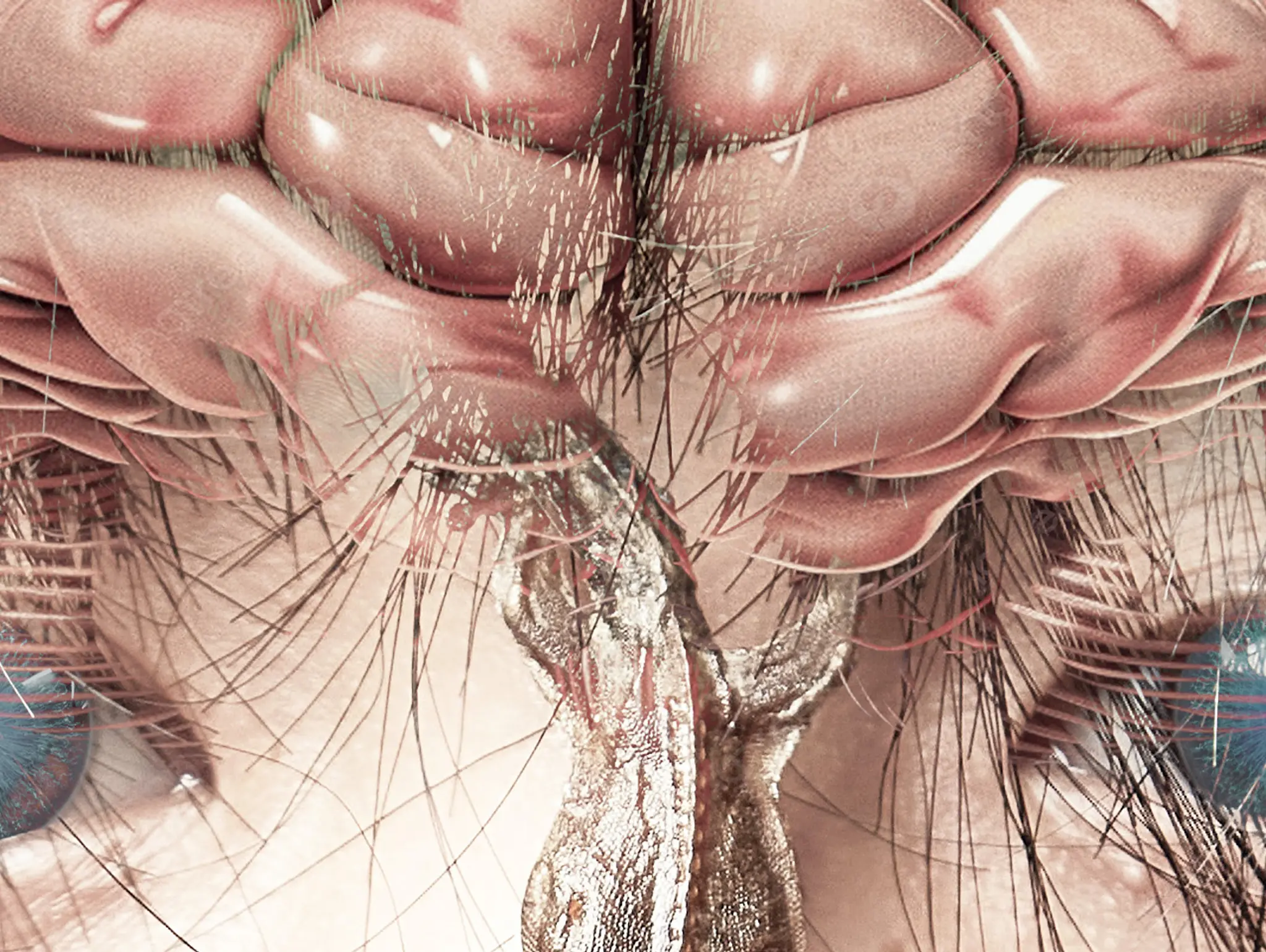 487 วิทย์คิดไม่ถึง สัตว์เลือดเย็น ที่ (อาจ) ไม่เลือดเย็นนัก