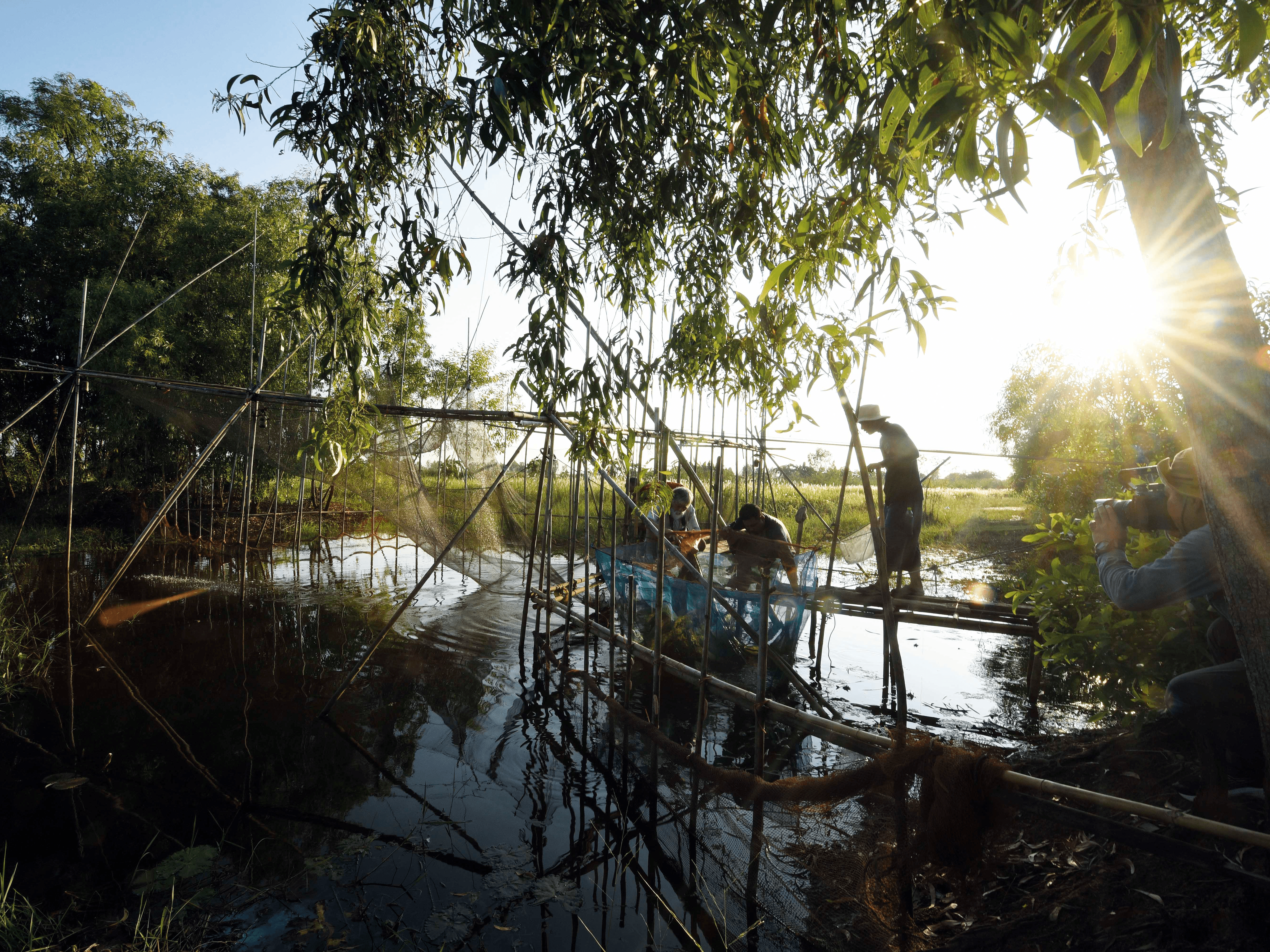 ลองอ่าน 479 ภาค ๑ ปลาไทยใกล้สูญพันธุ์