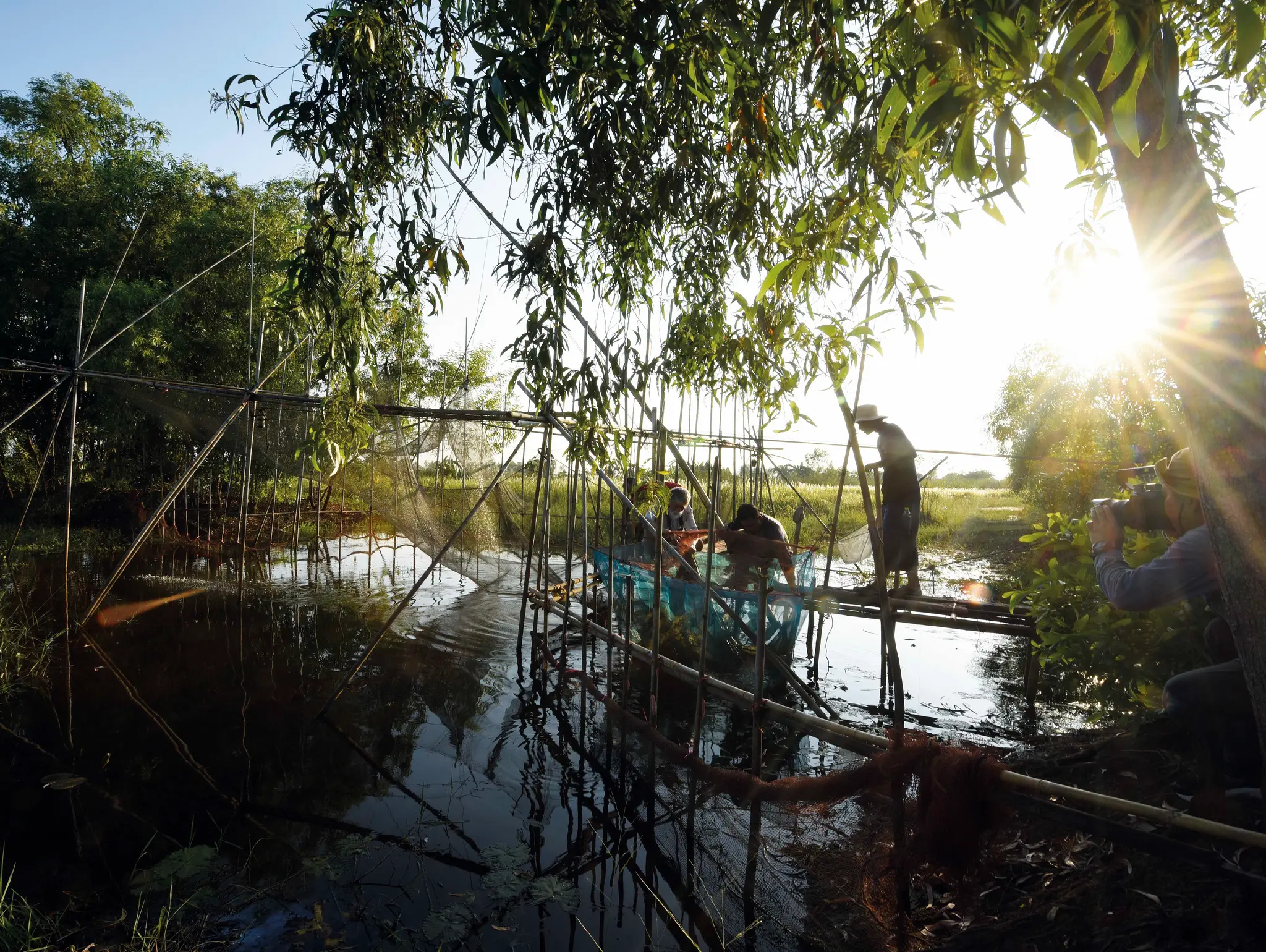 ลองอ่าน 479 ภาค ๑ ปลาไทยใกล้สูญพันธุ์