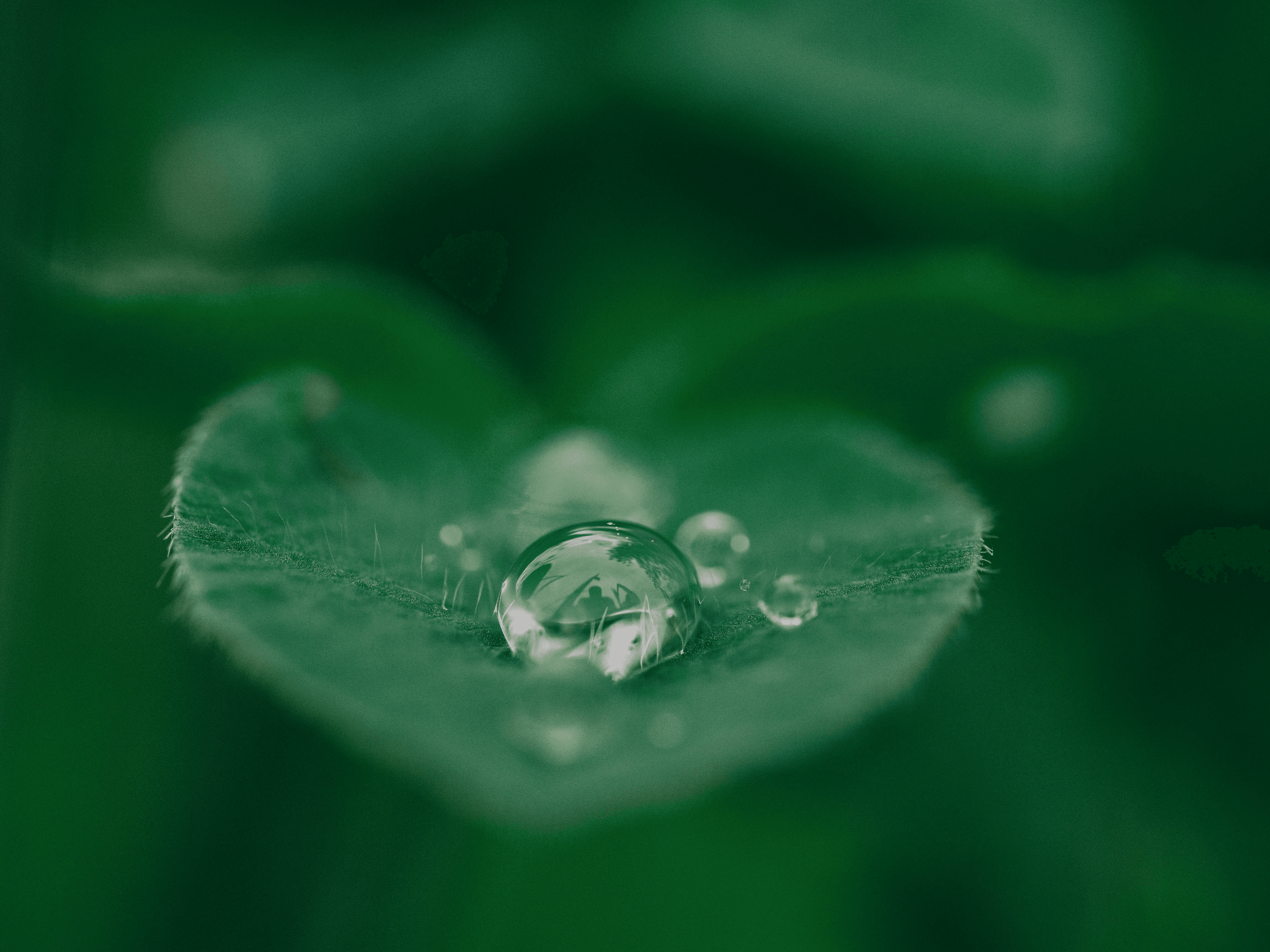 แผนที่ Healใจ Parkใจในสวน สวยในกรอบ