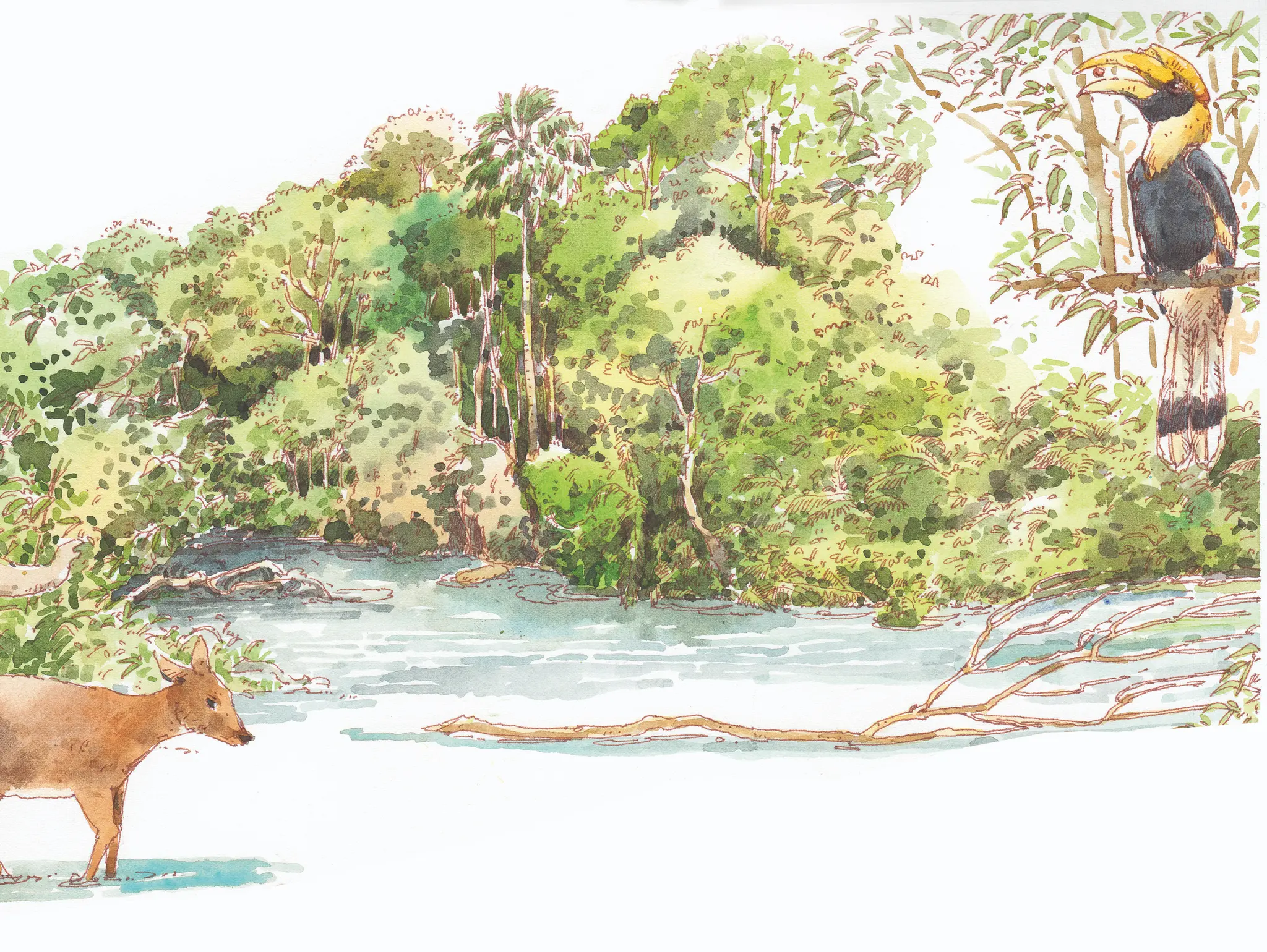 491 วาดเมือง ริมลำตะคอง