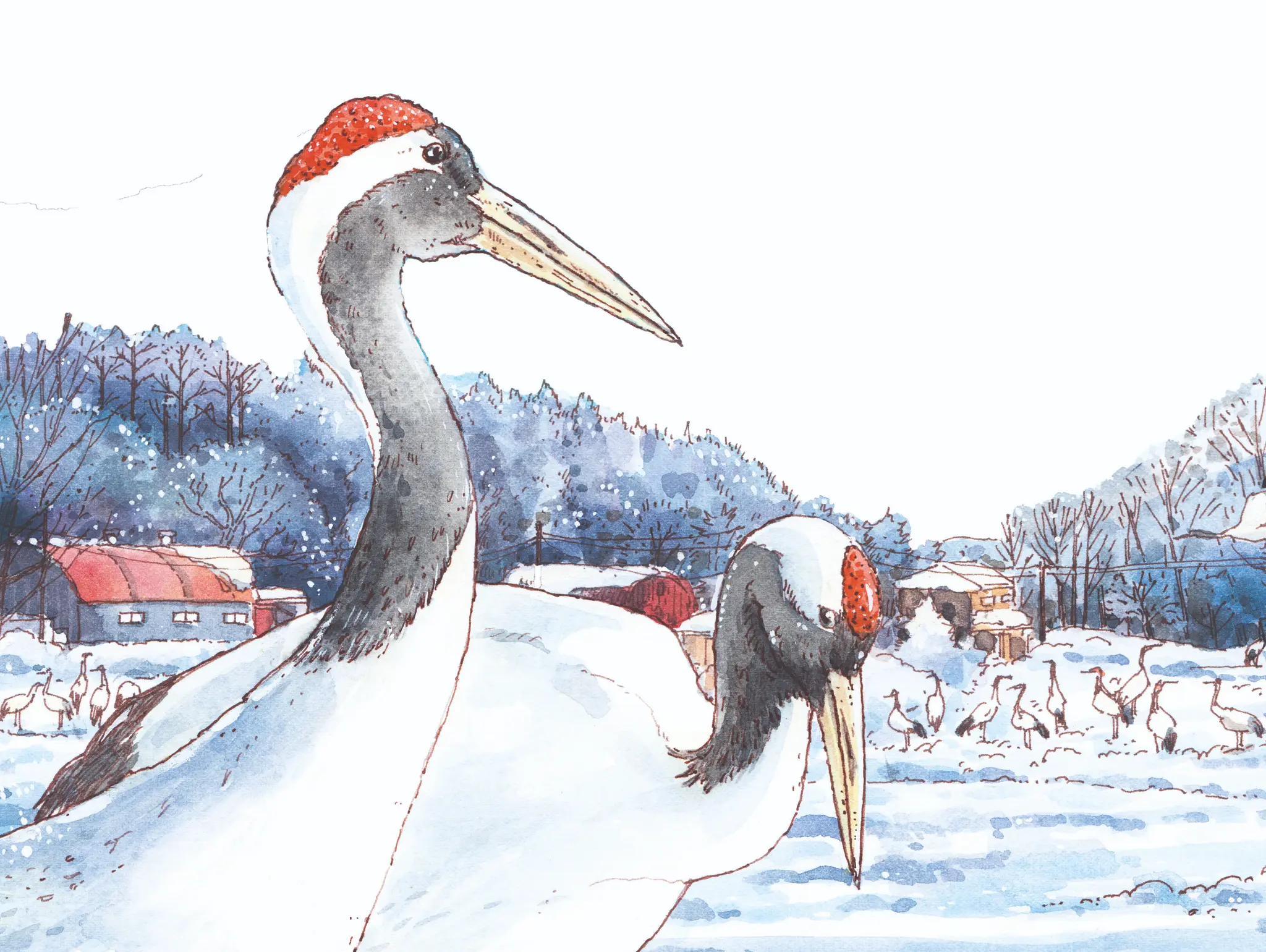 492 วาดเมือง หมู่บ้านนกกระเรียน