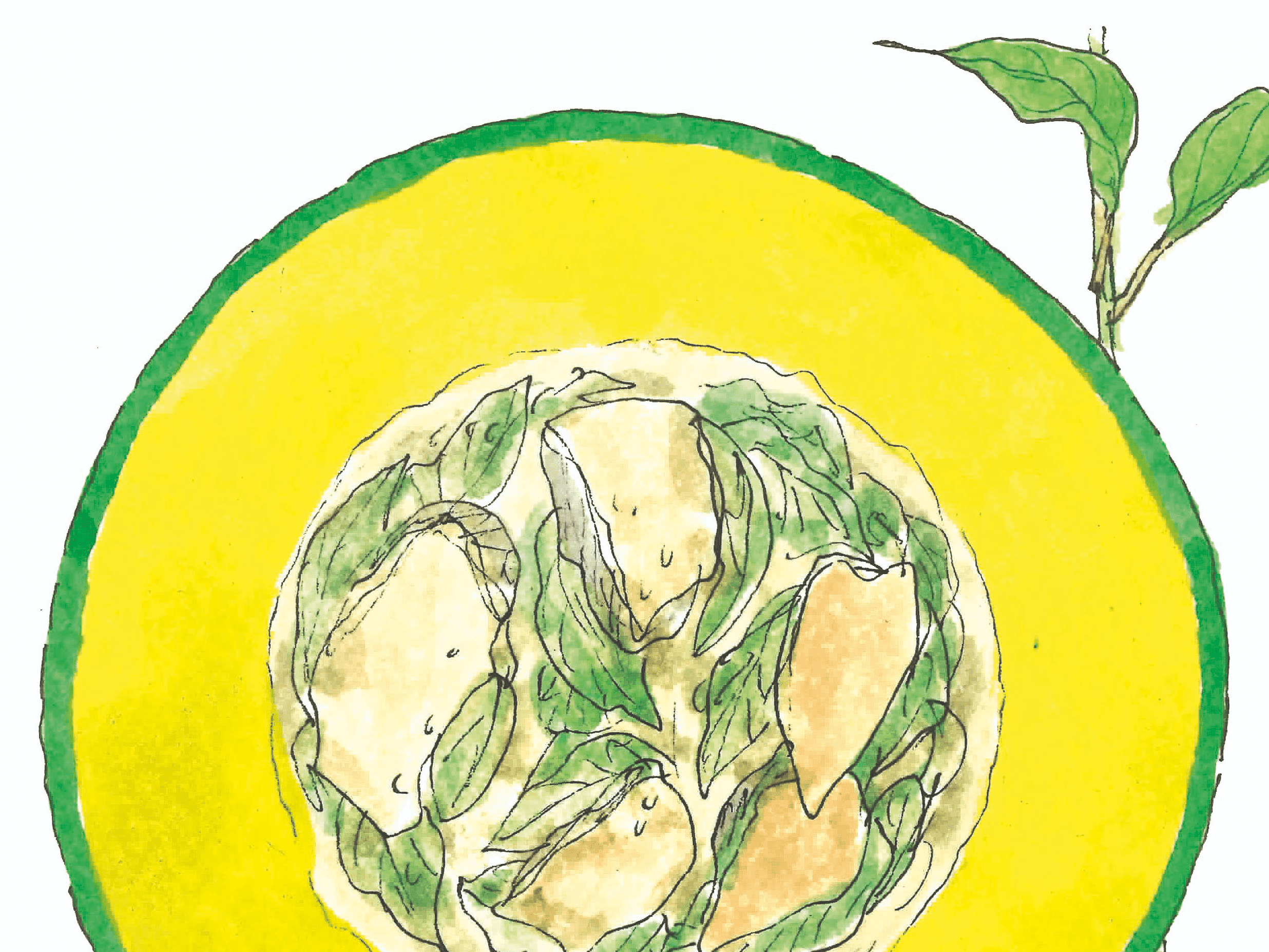 471 ท้ายครัว แกงส้มลม อานามสยามโภชน์