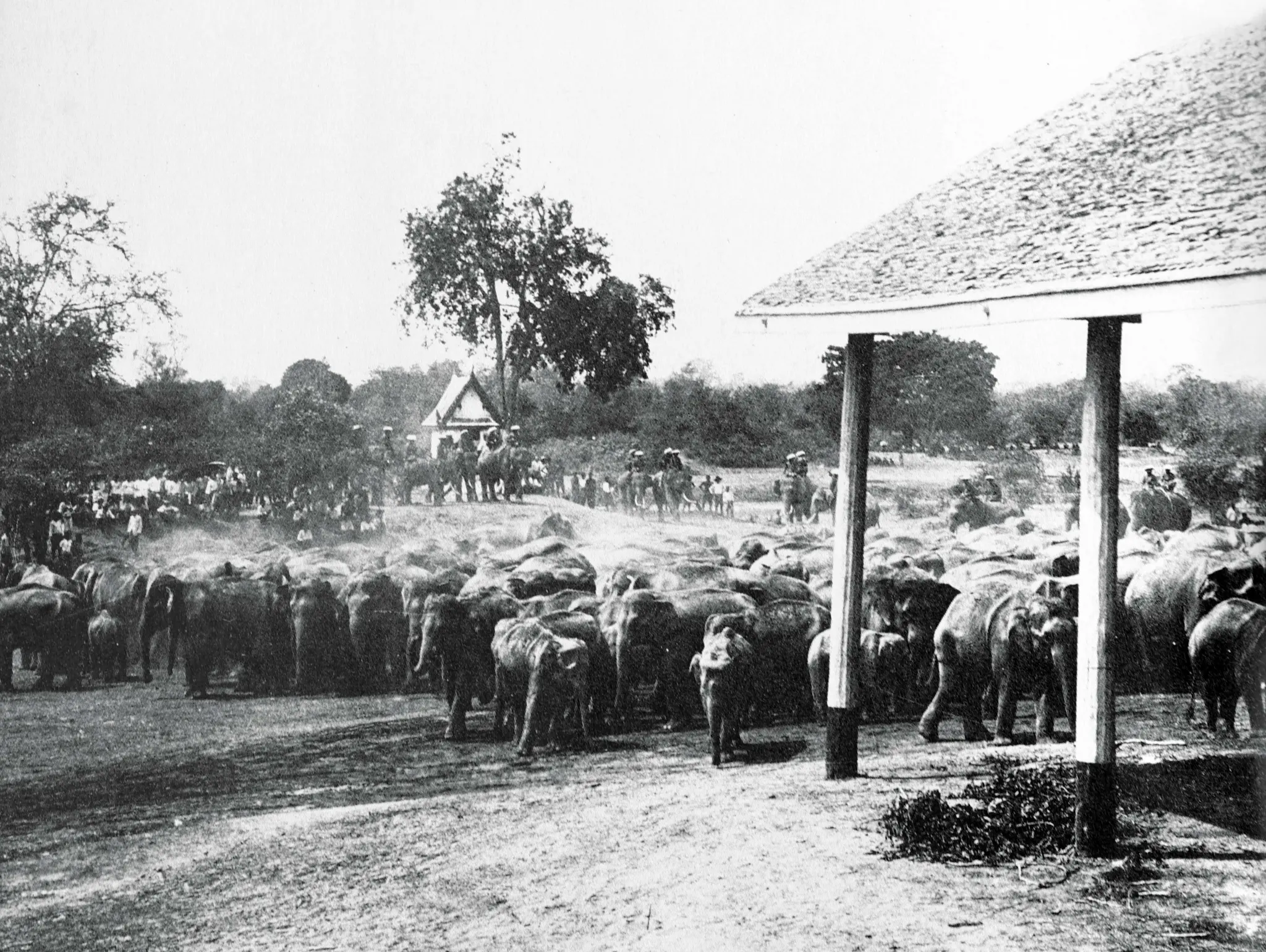 492 Thai Wildlife Photographers ช่างภาพสัตว์ป่าเมืองไทย