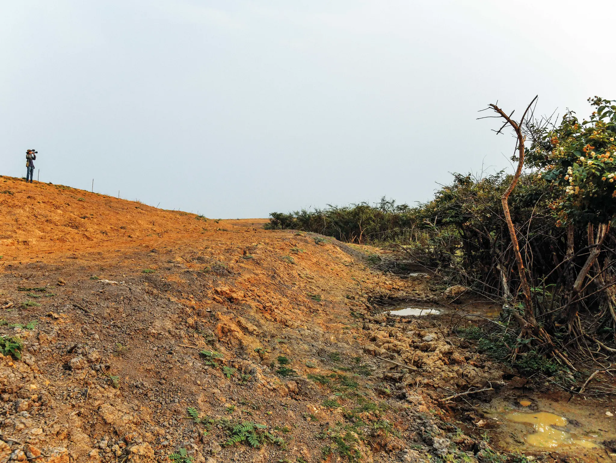 ลองอ่าน 487 อวสานป่าอั้น พื้นที่ชุ่มน้ำเวียงหนองหล่ม