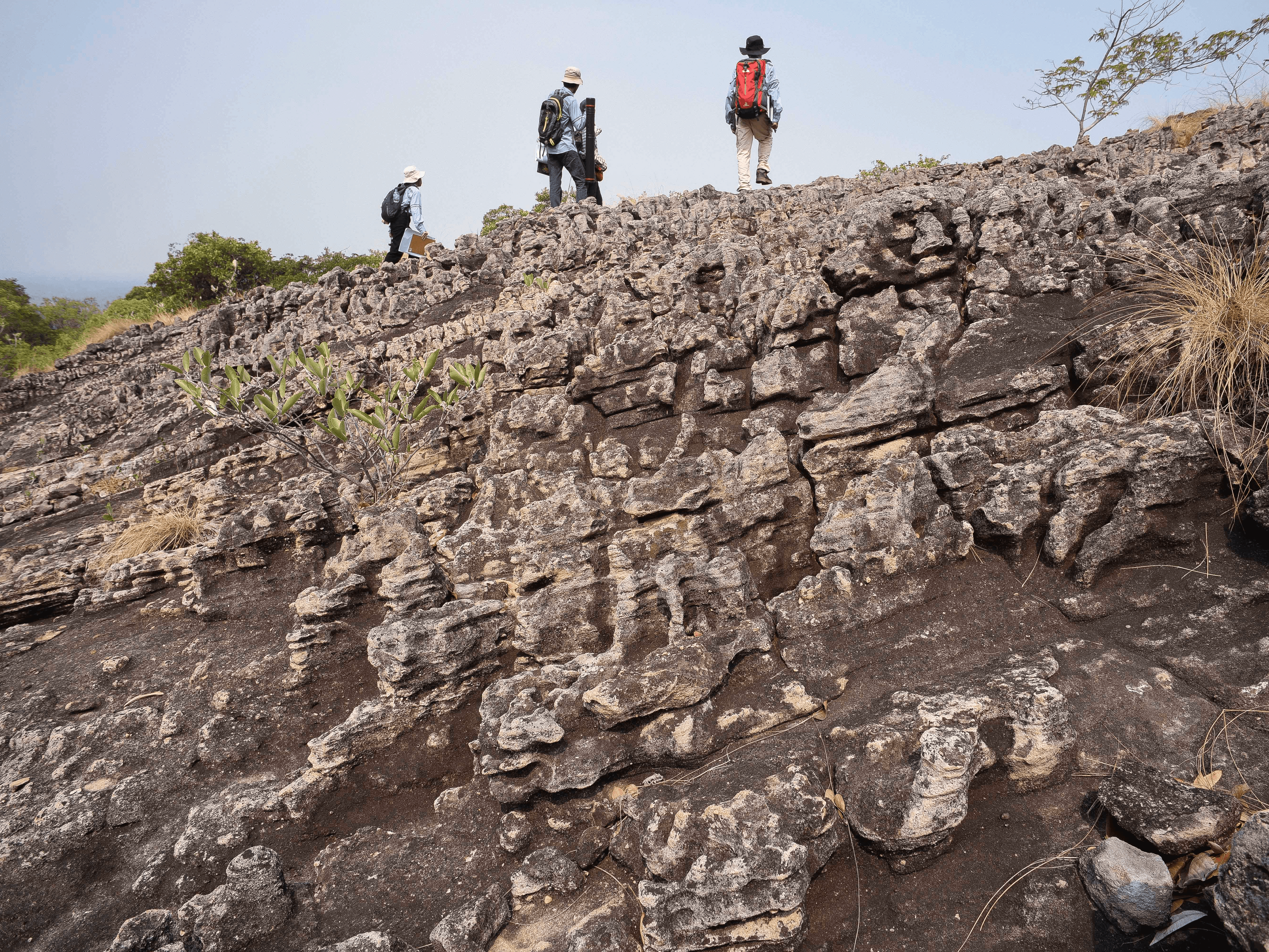 475 ธรรมชาติ ทํามาโชว์ ธรณีสัณฐาน ปนนิทานอีสาน