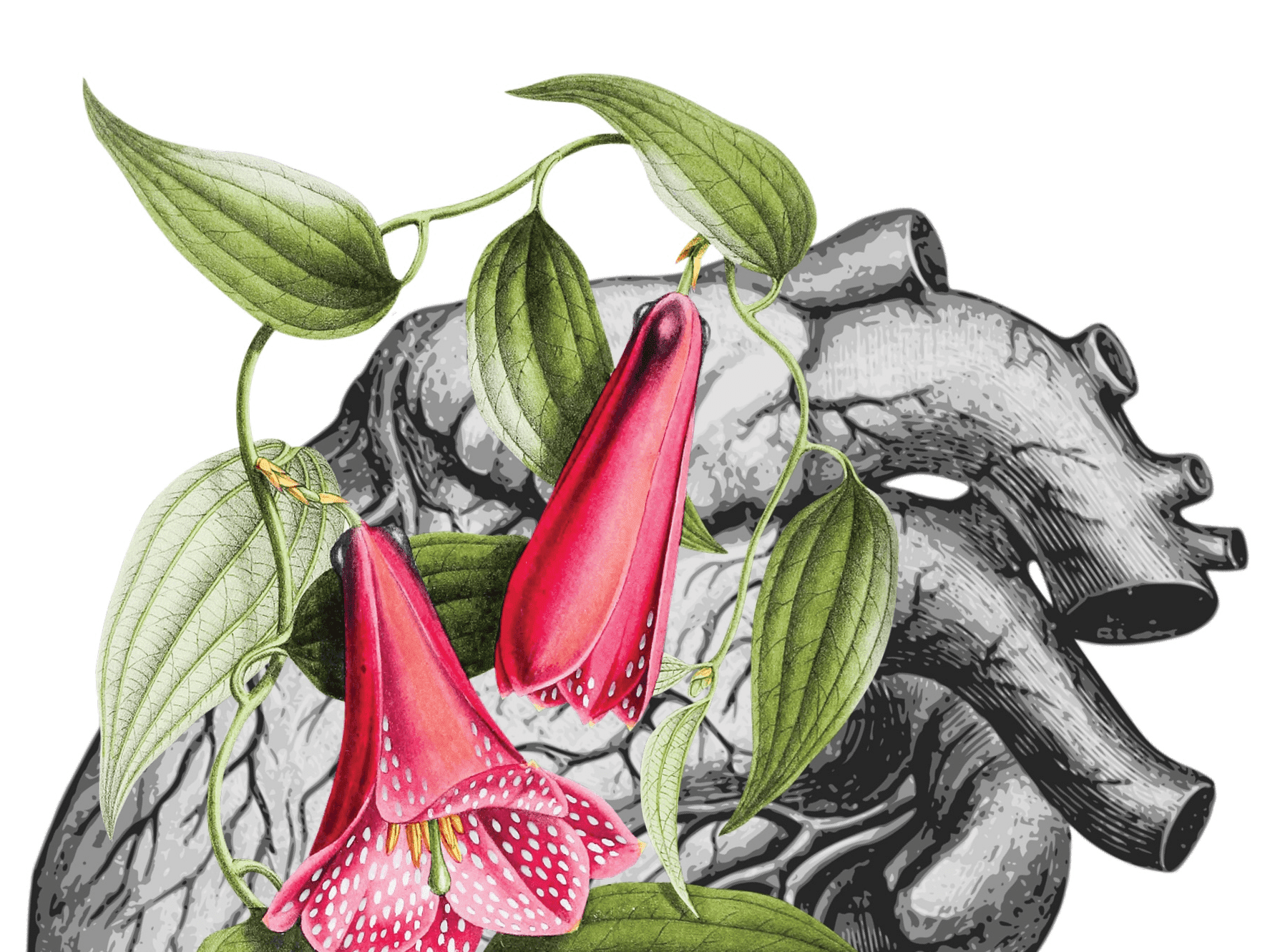 478 จากบรรณาธิการ เป็นอยู่