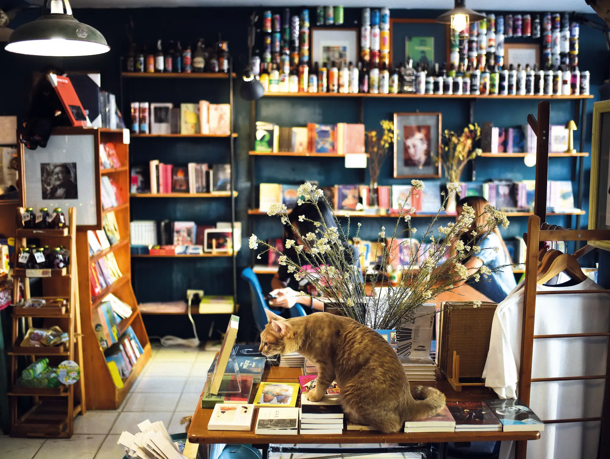 494 จากบรรณาธิการ แผง/ร้าน/หนังสือ