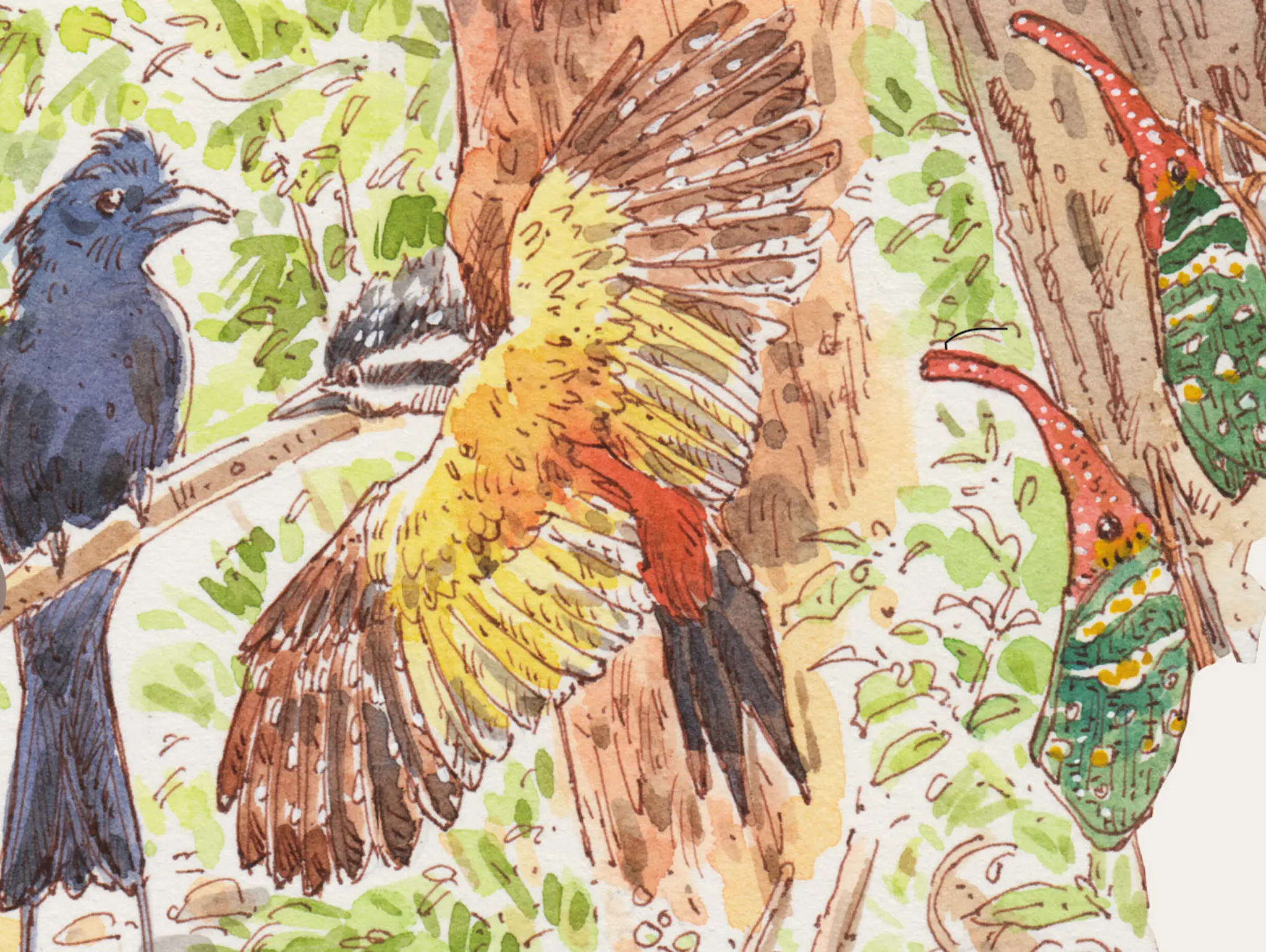 474 วาดเมือง อุทยานแห่งชาติแก่งกระจาน