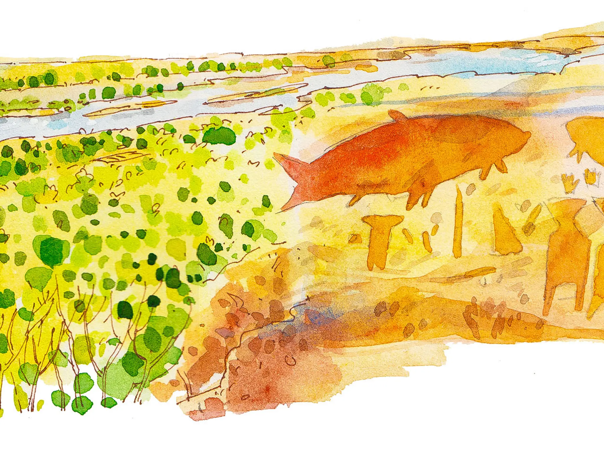 473 วาดเมือง ผาแต้มและนกในแม่น้ำโขง