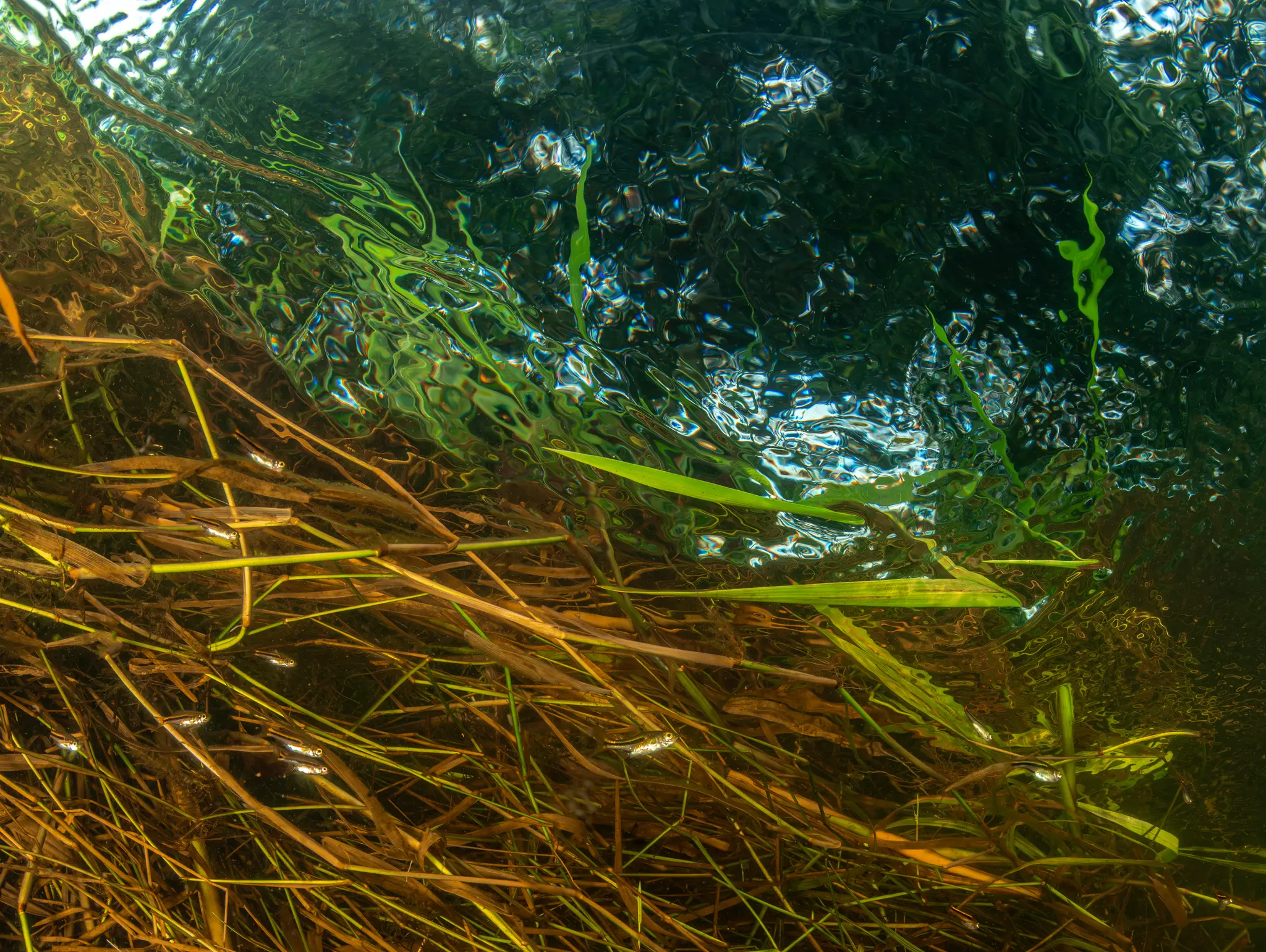 487 จากบรรณาธิการ จิตวิญญาณ